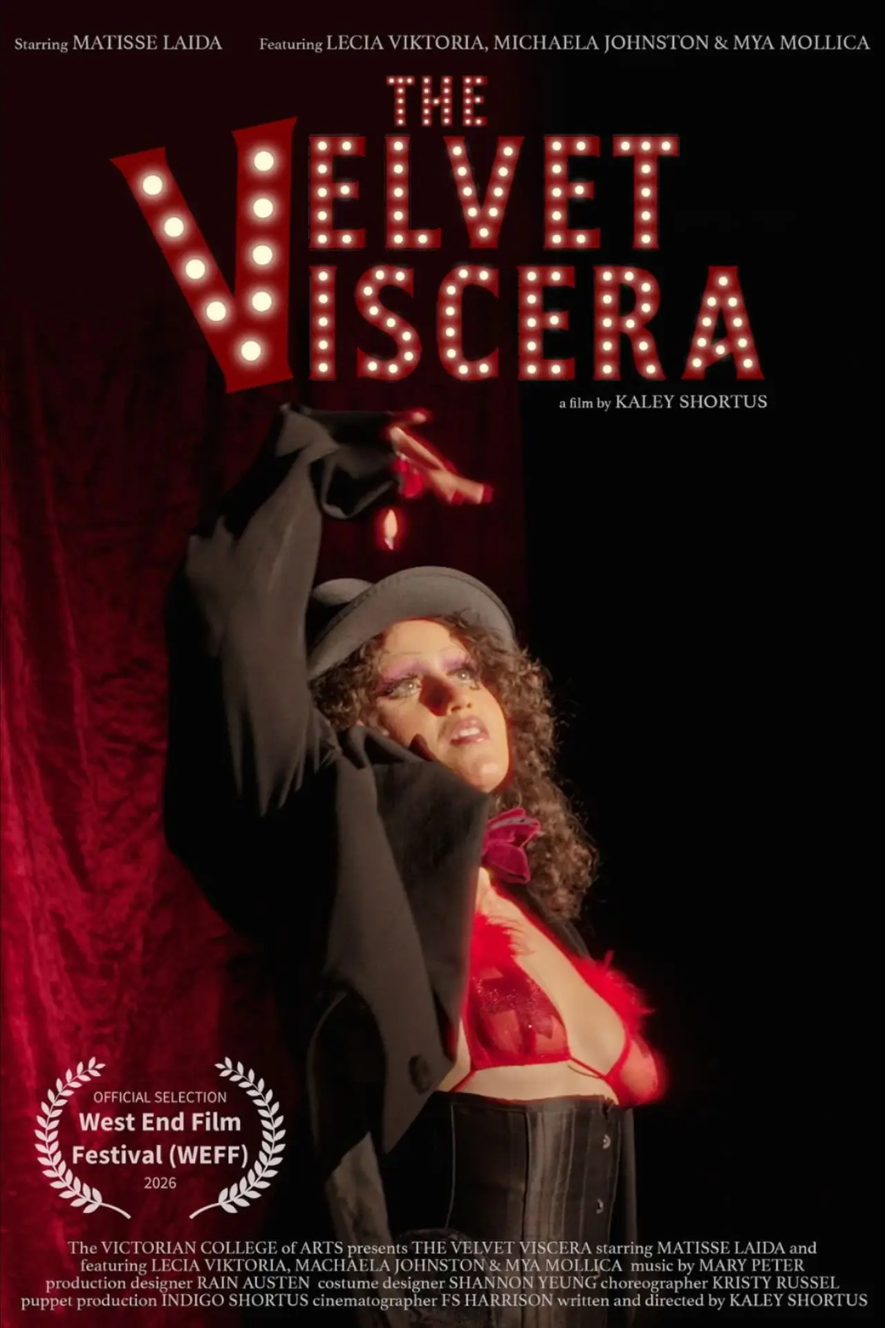 Постер к фильму "The Velvet Viscera"