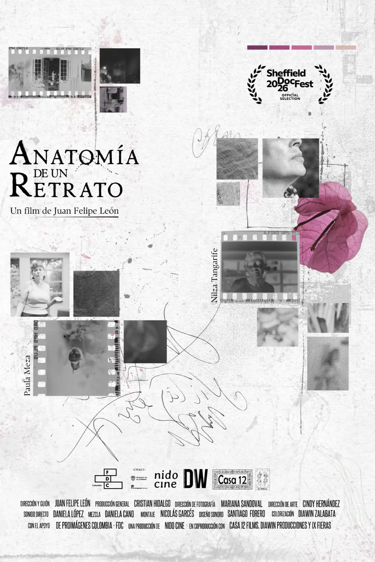 Постер к фильму "Anatomía de un retrato"
