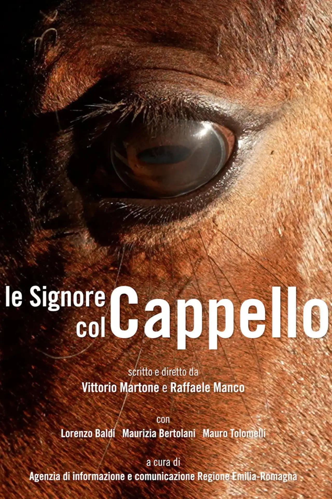 Постер к фильму "Le Signore col Cappello"