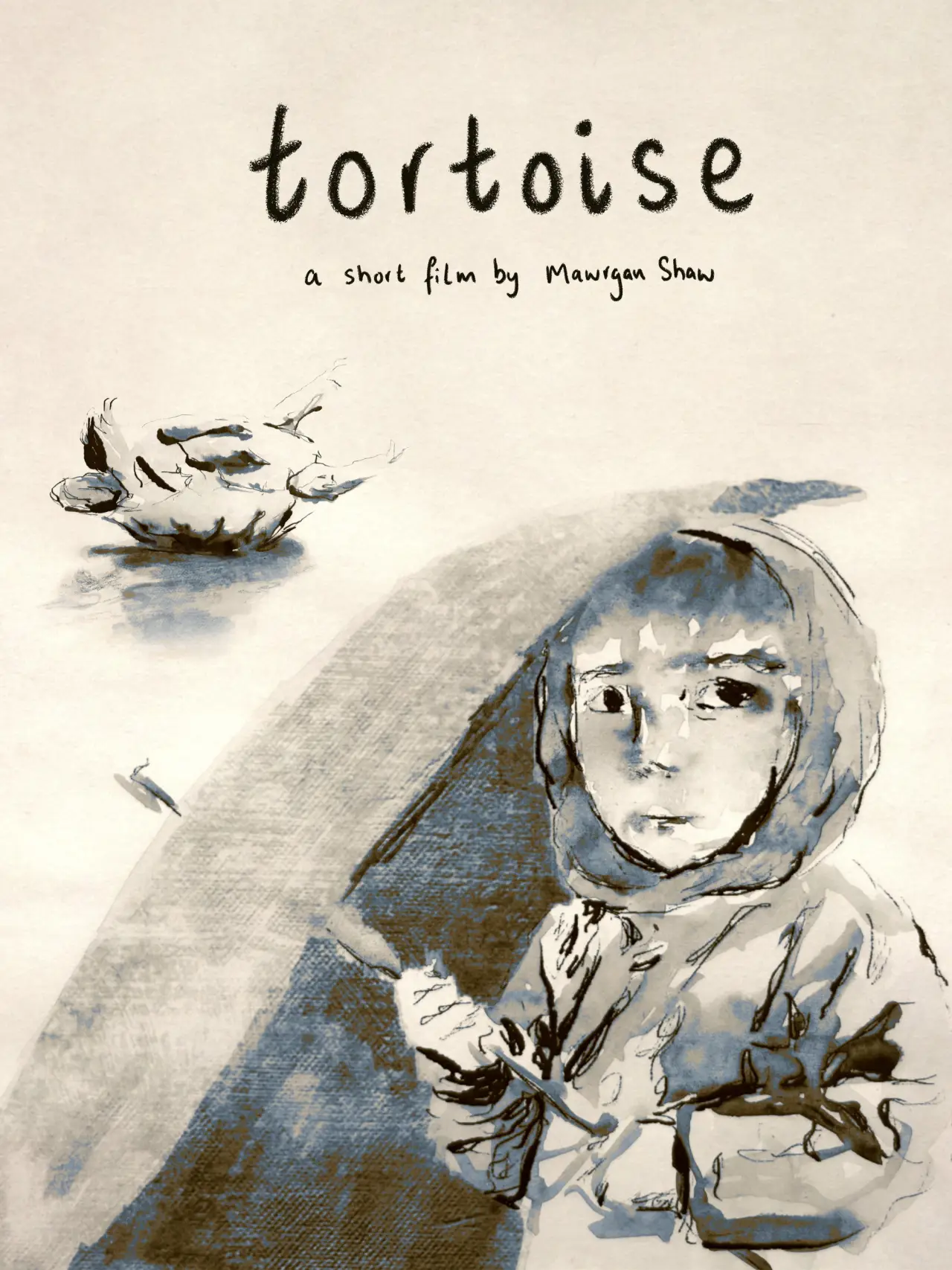 Постер к фильму "Tortoise"