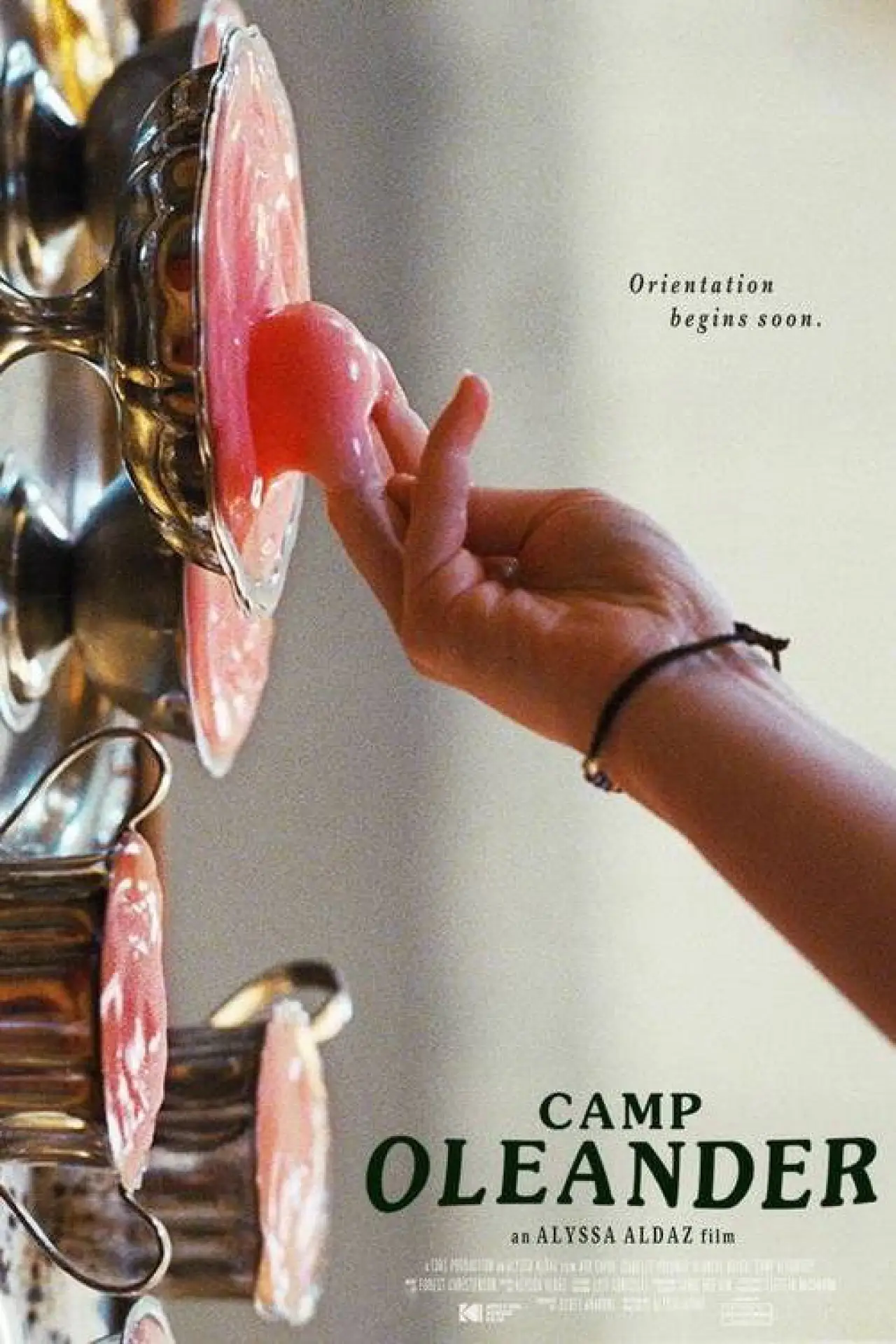 Постер к фильму "Camp Oleander"