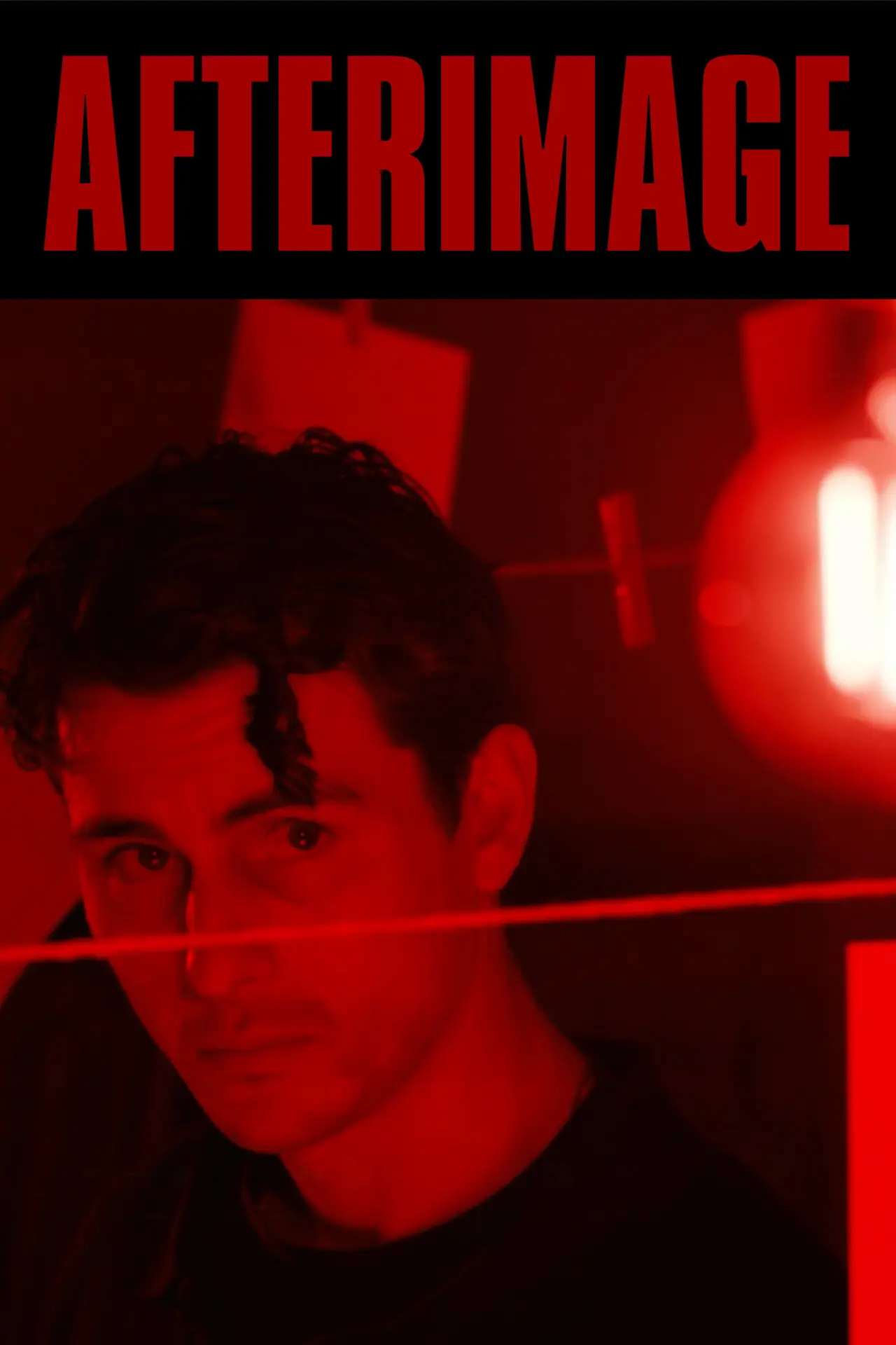 Постер к фильму "Afterimage"