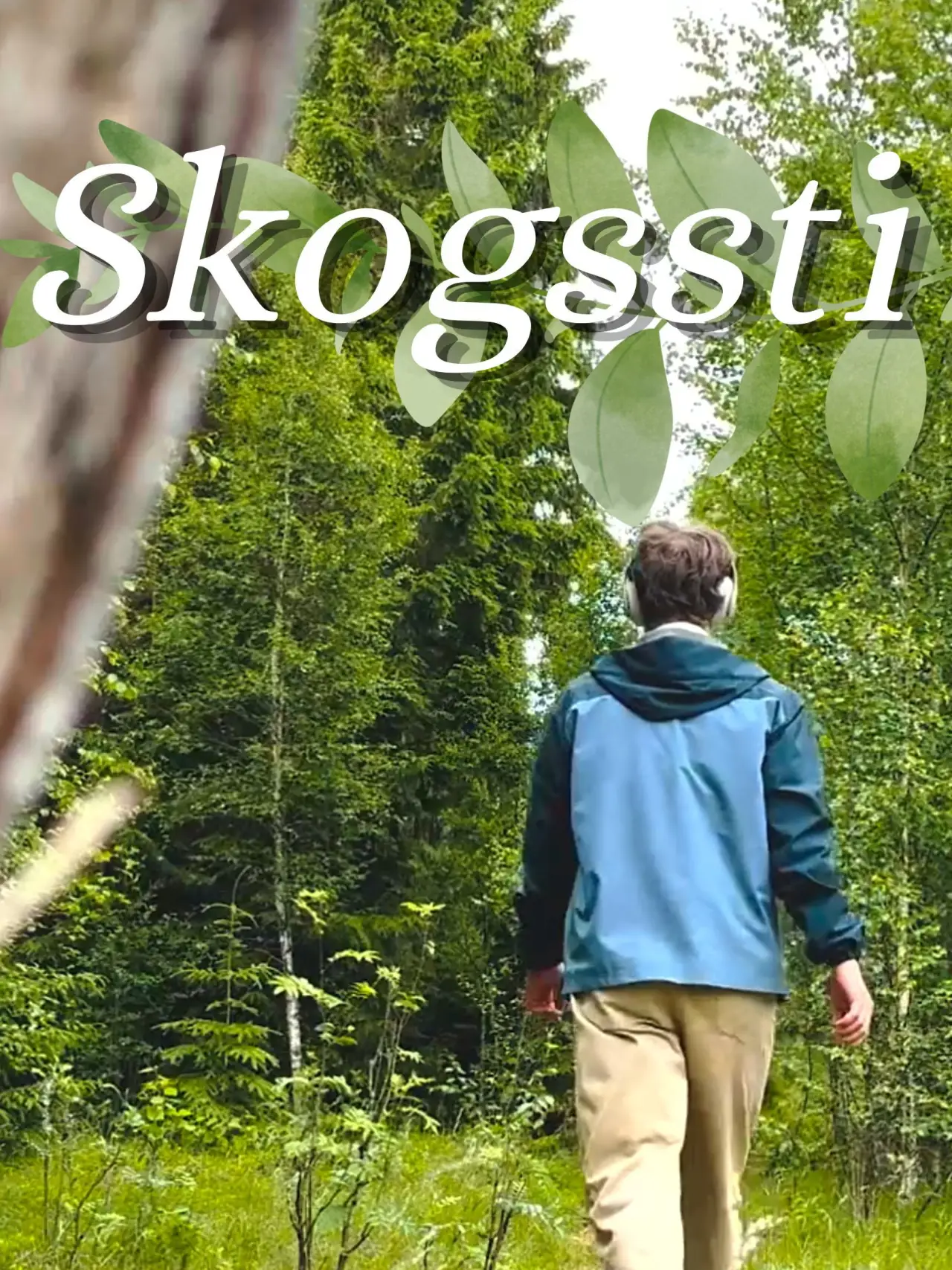 Постер к фильму "Skogssti"