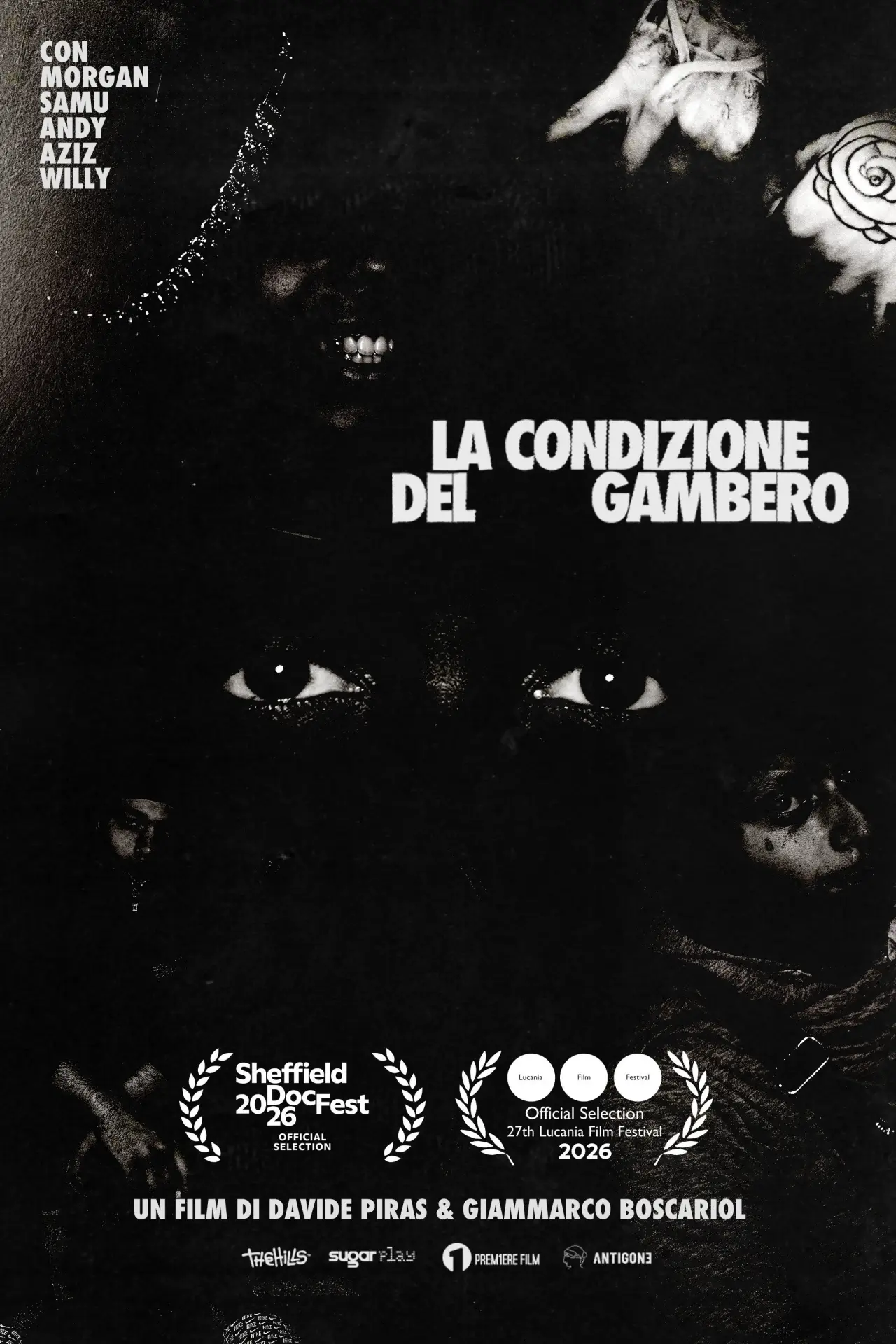 Постер к фильму "La Condizione del Gambero"