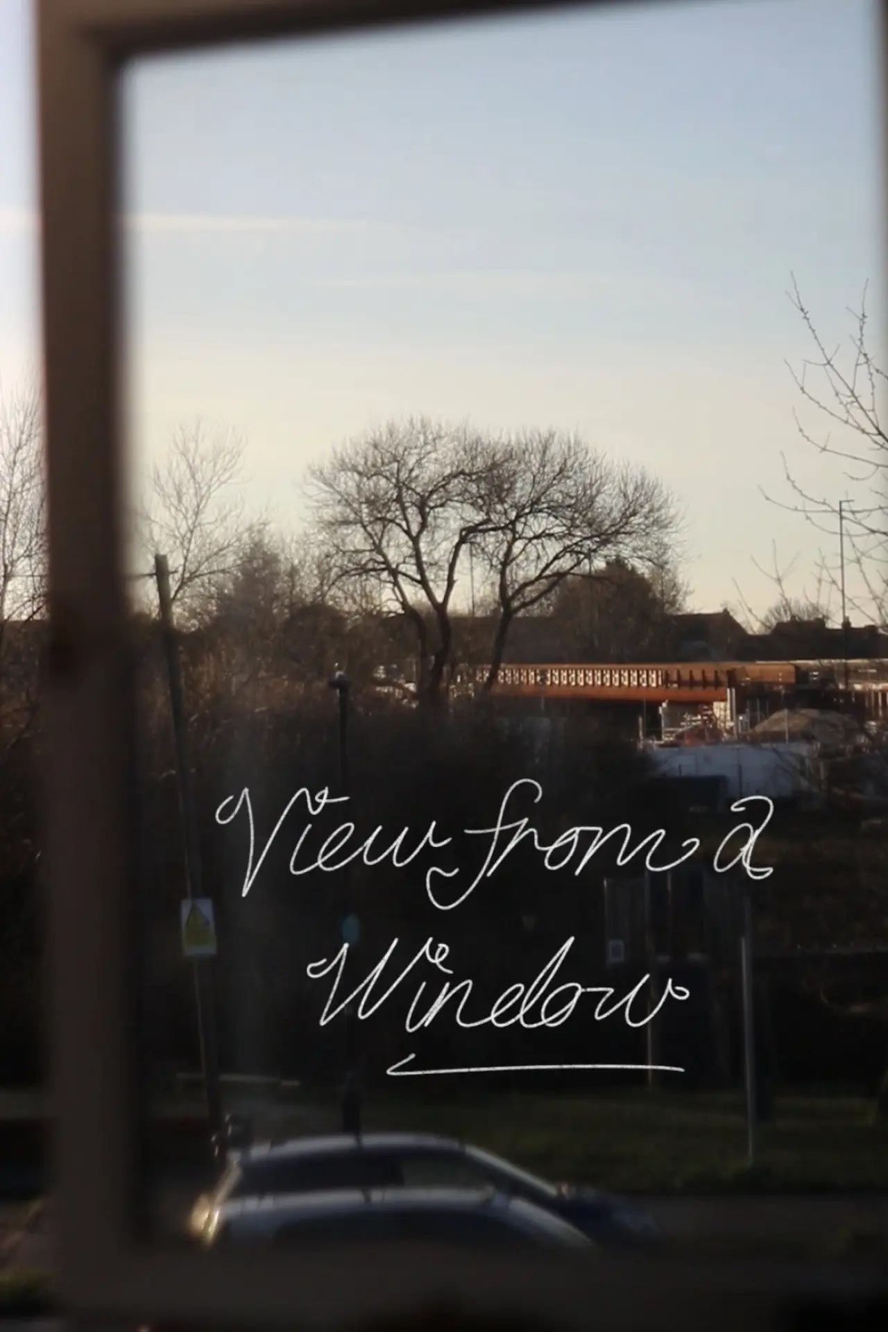 Постер к фильму "View from a Window"