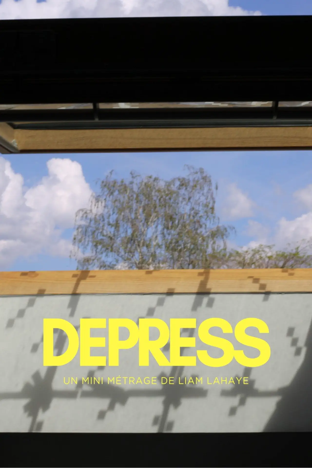 Постер к фильму "DEPRESS"
