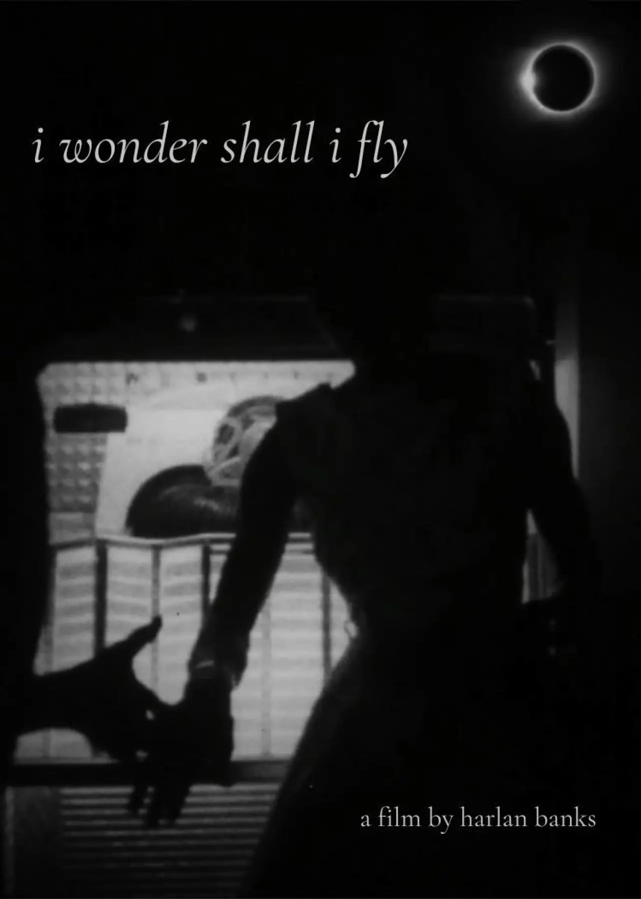 Постер к фильму "i wonder shall i fly"