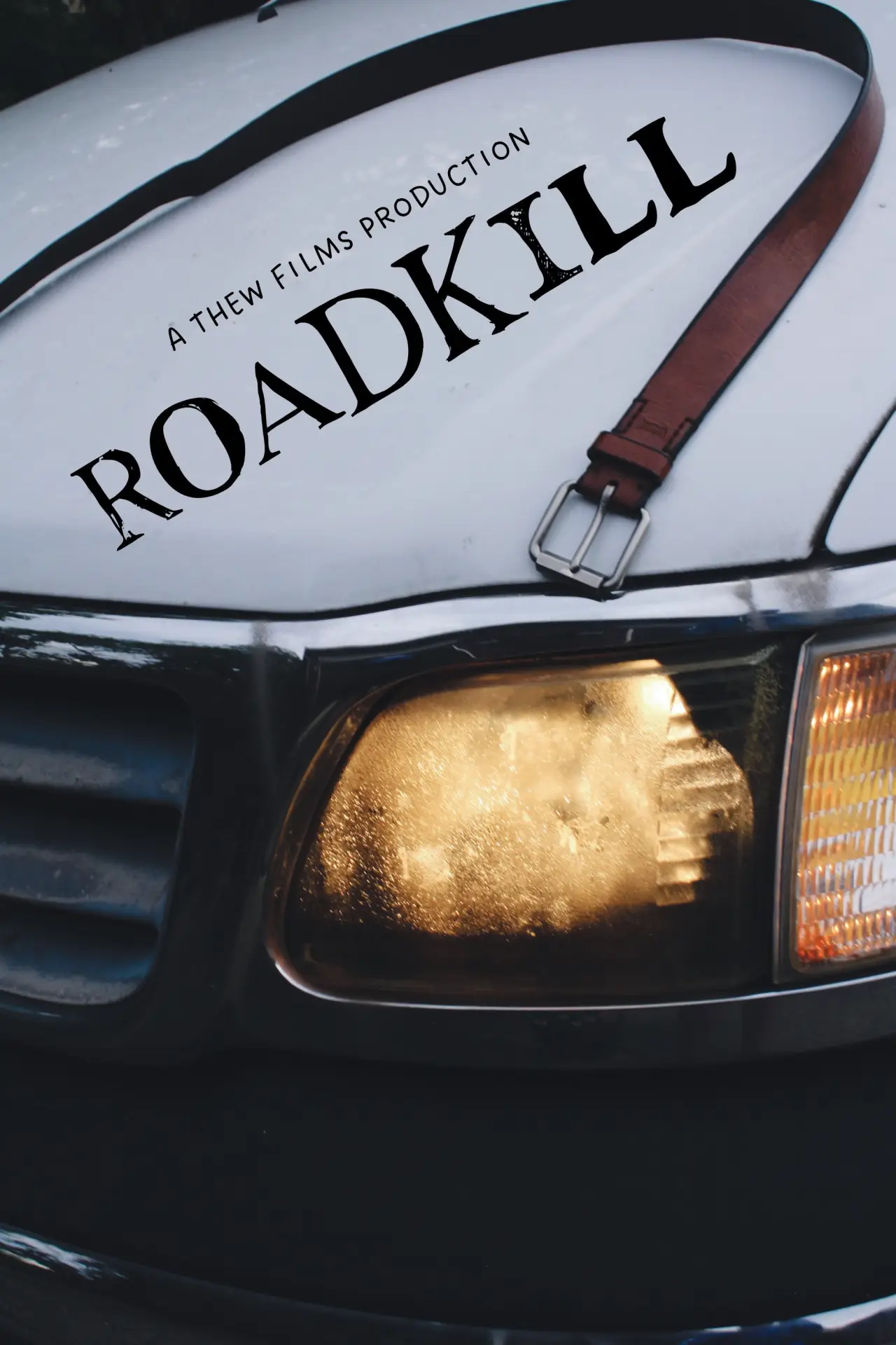 Постер к фильму "Roadkill"