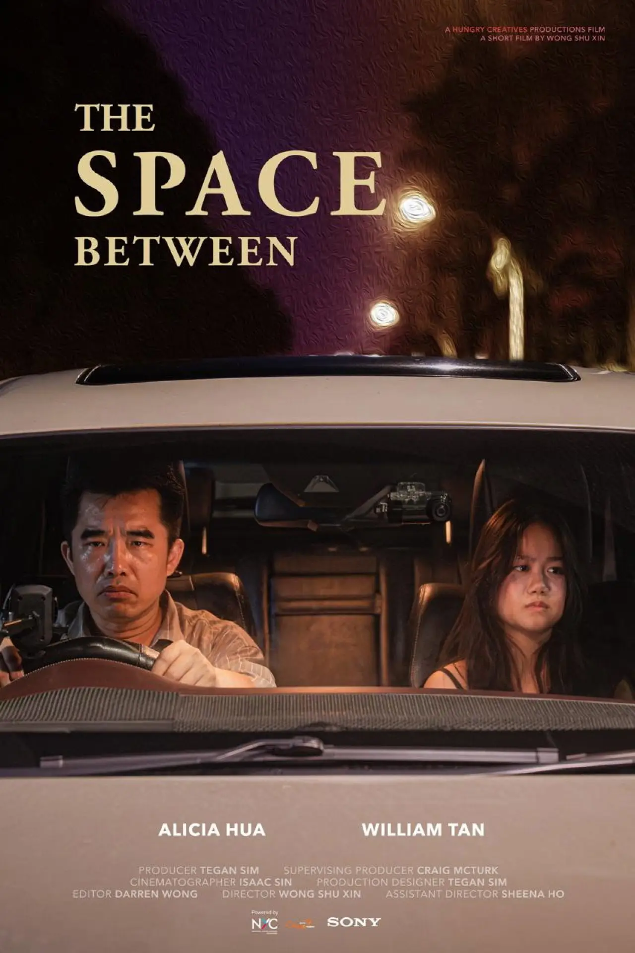 Постер к фильму "The Space Between"
