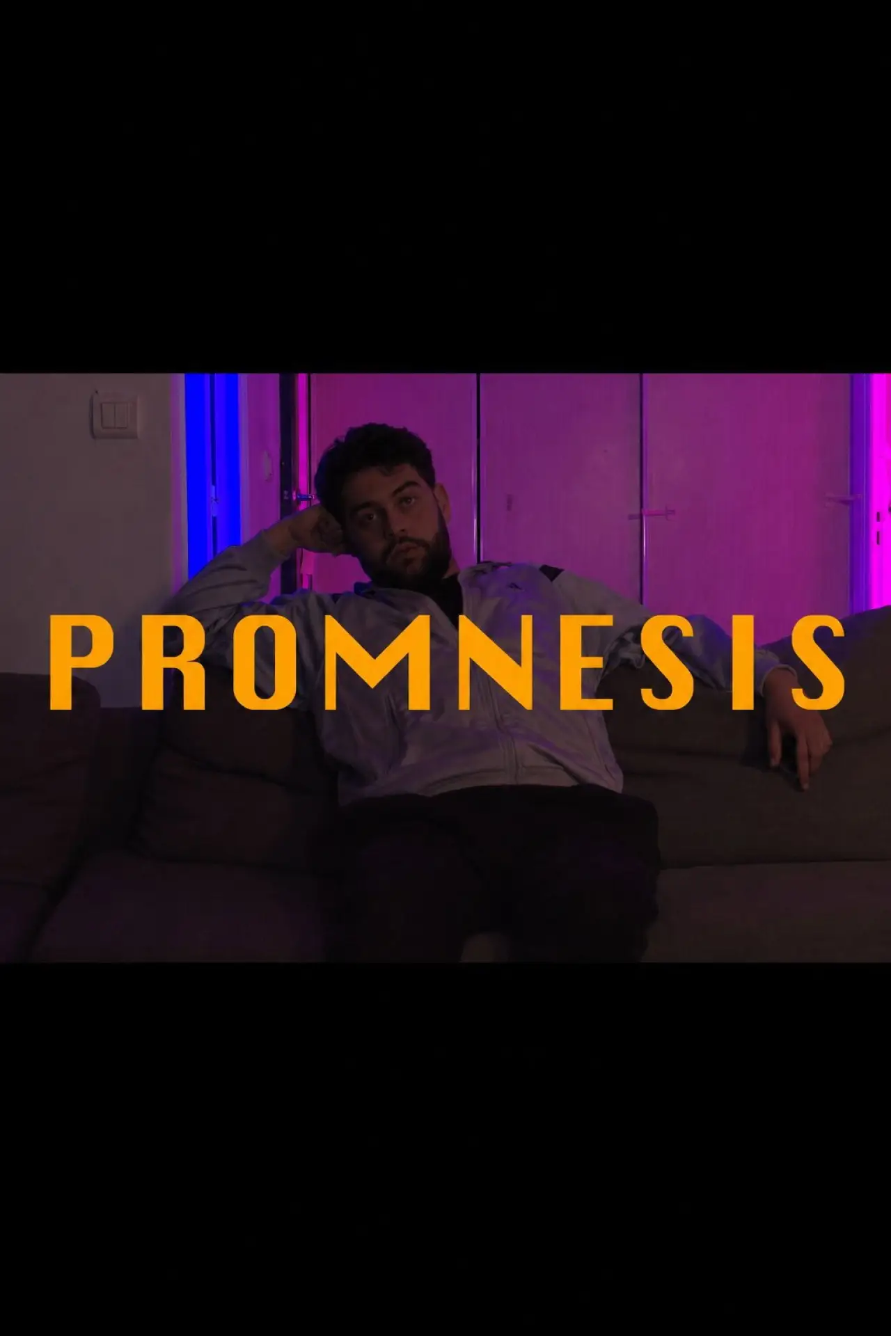 Постер к фильму "Promnesis"