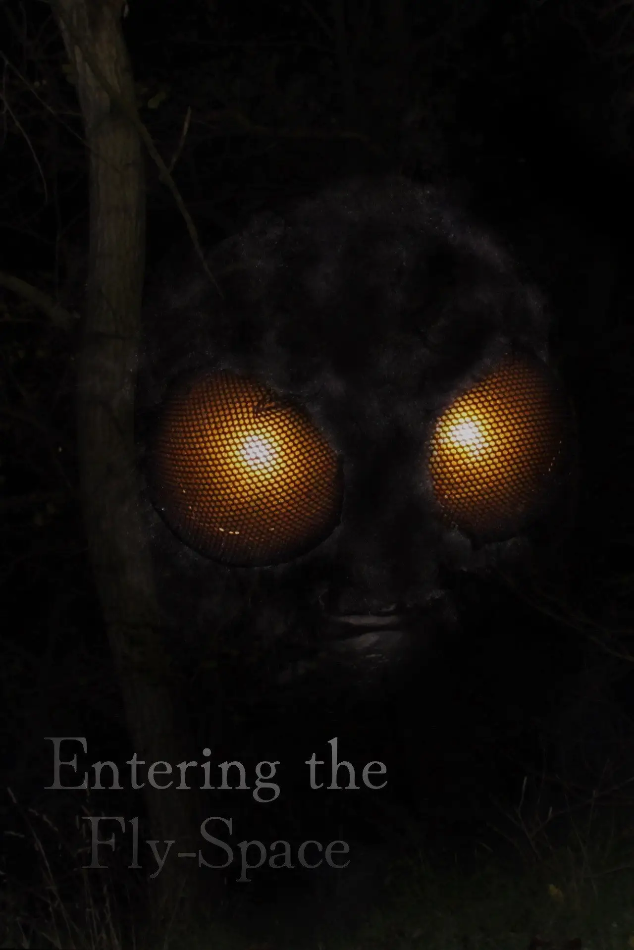 Постер к фильму "Entering the Fly-Space"