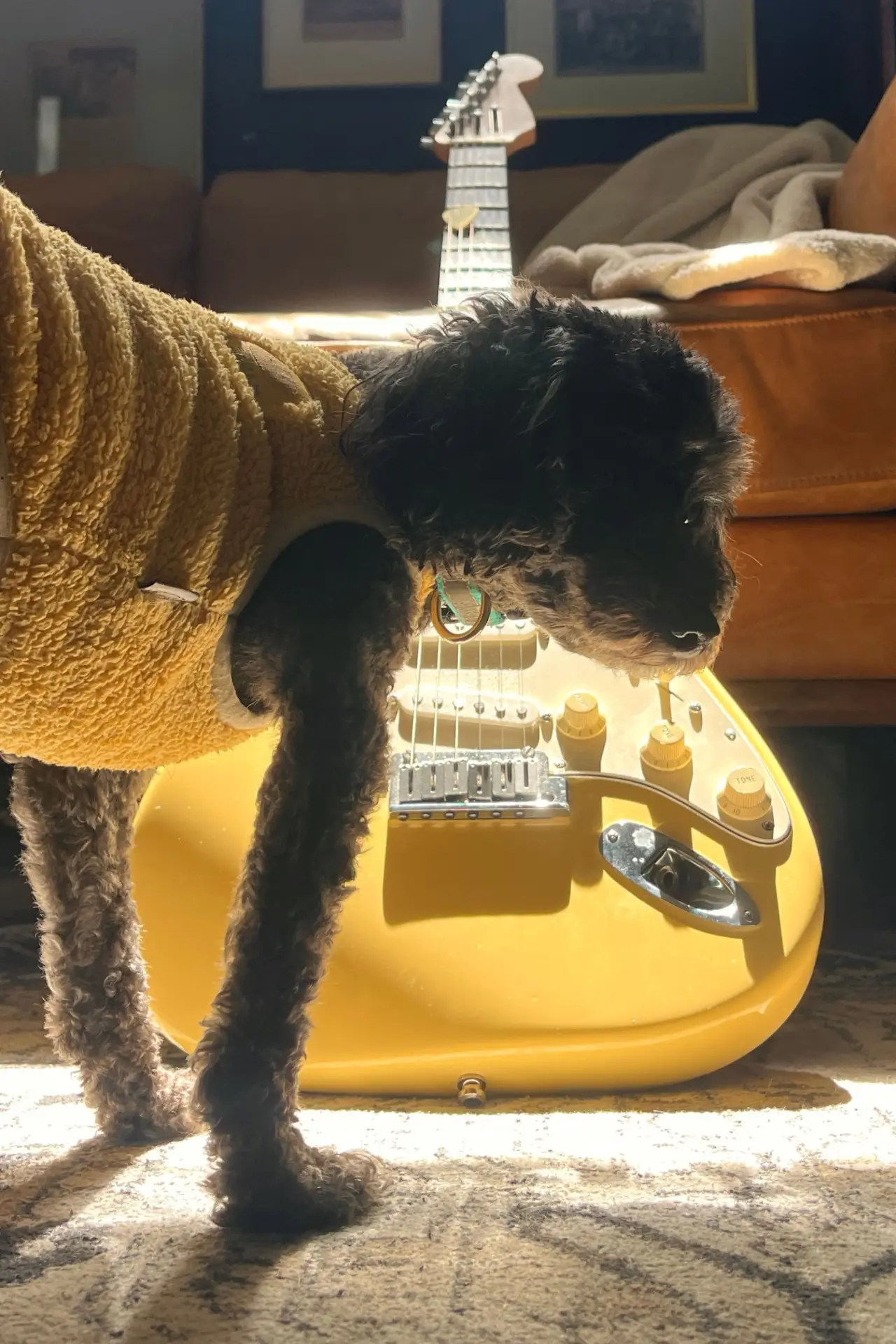 Постер к фильму "Yellow Guitar"