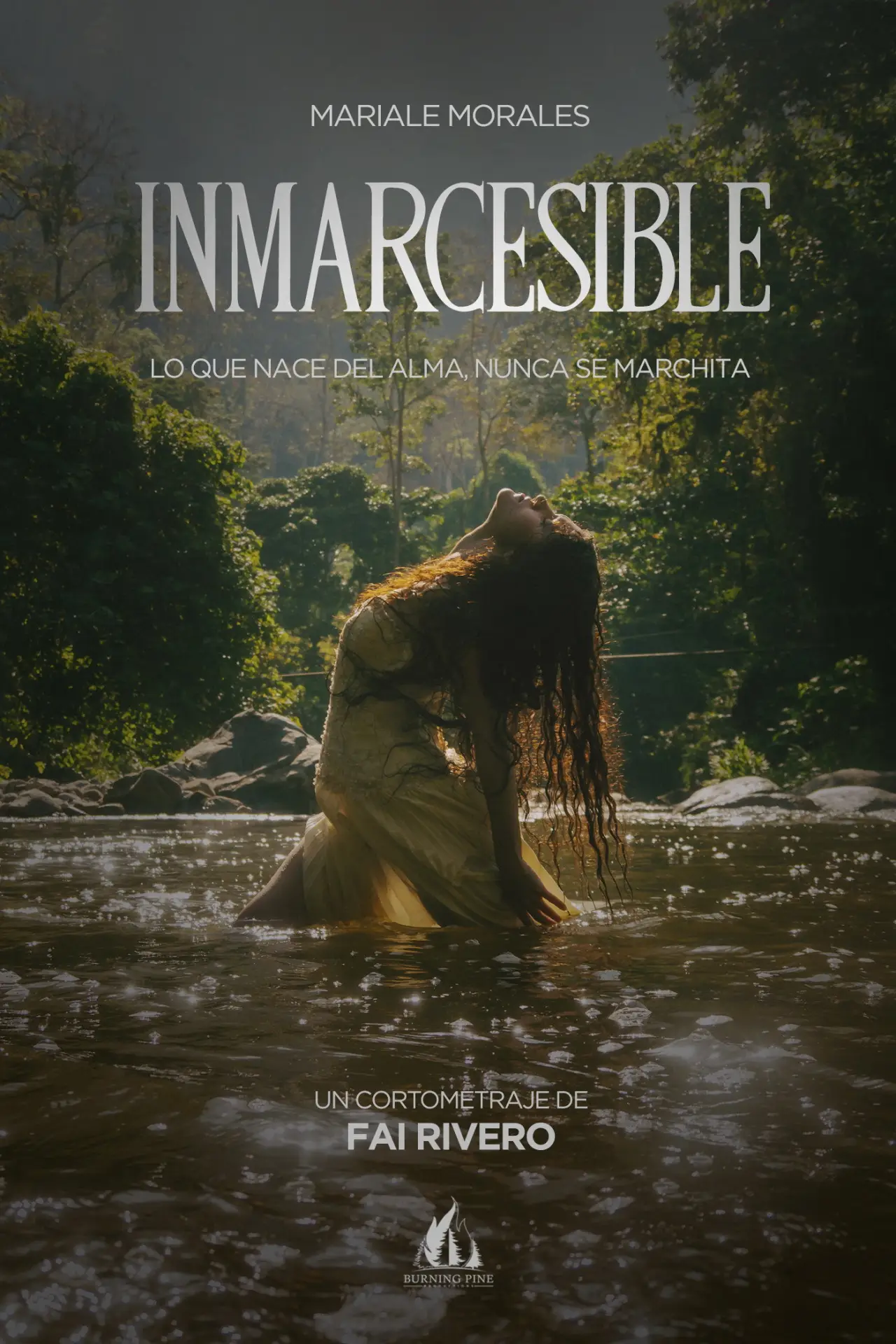 Постер к фильму "Inmarcesible"