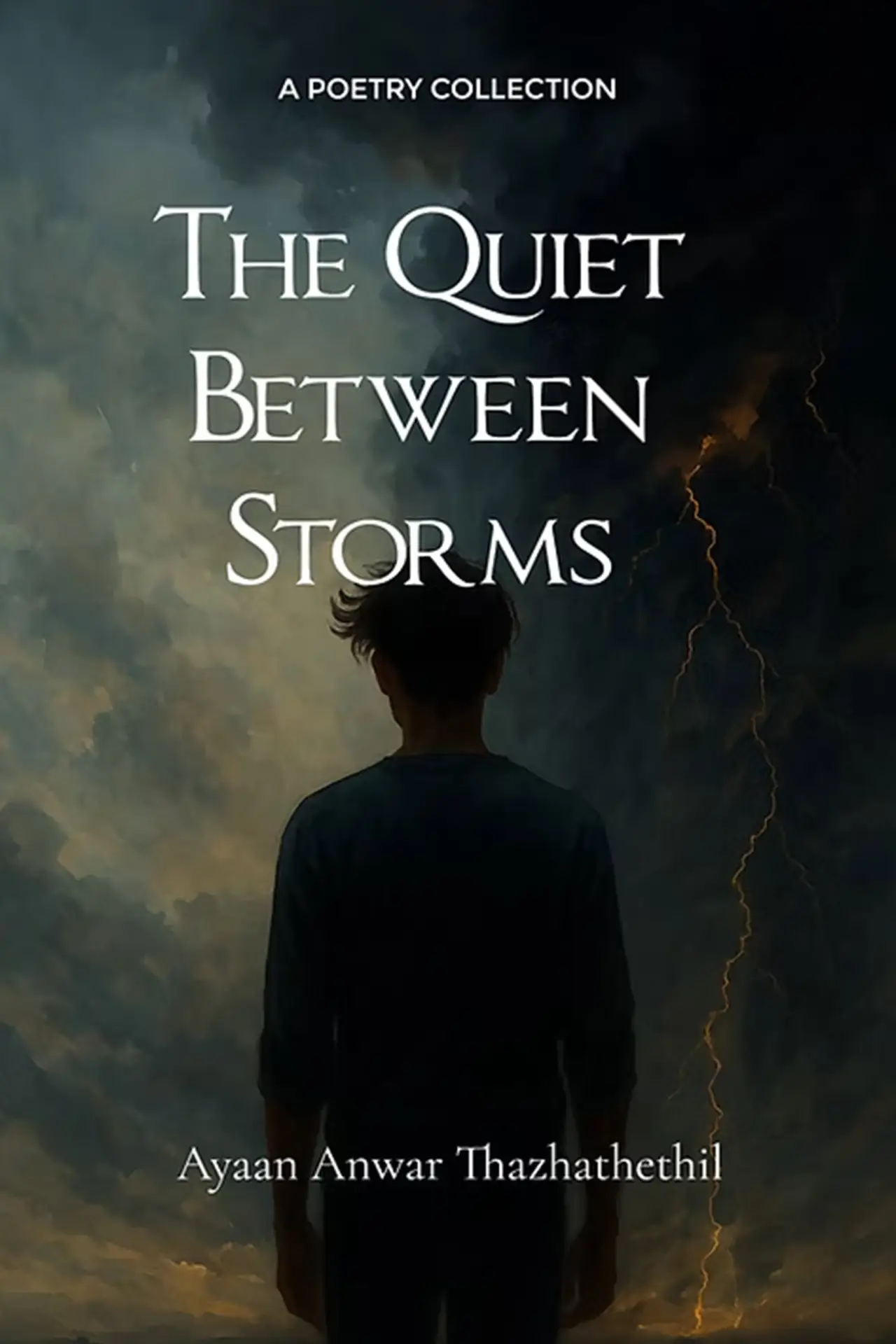 Постер к фильму "The Quiet Between Storms"
