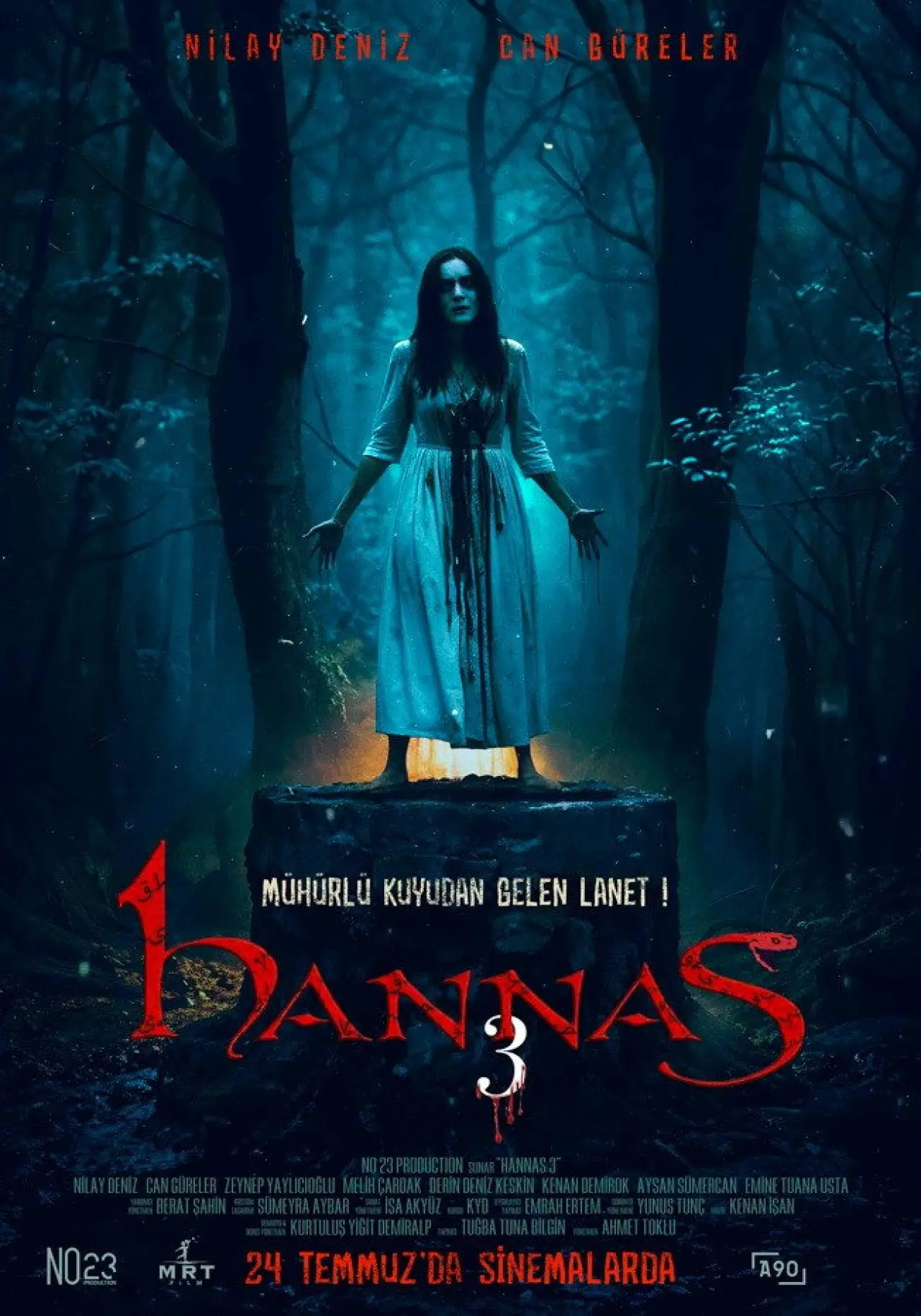 Постер к фильму "Hannas 3"