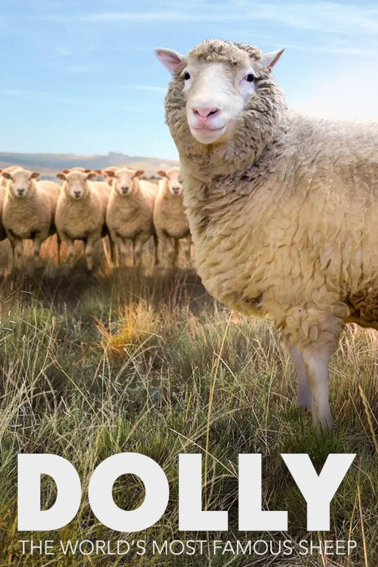 Постер к фильму "Dolly: The World