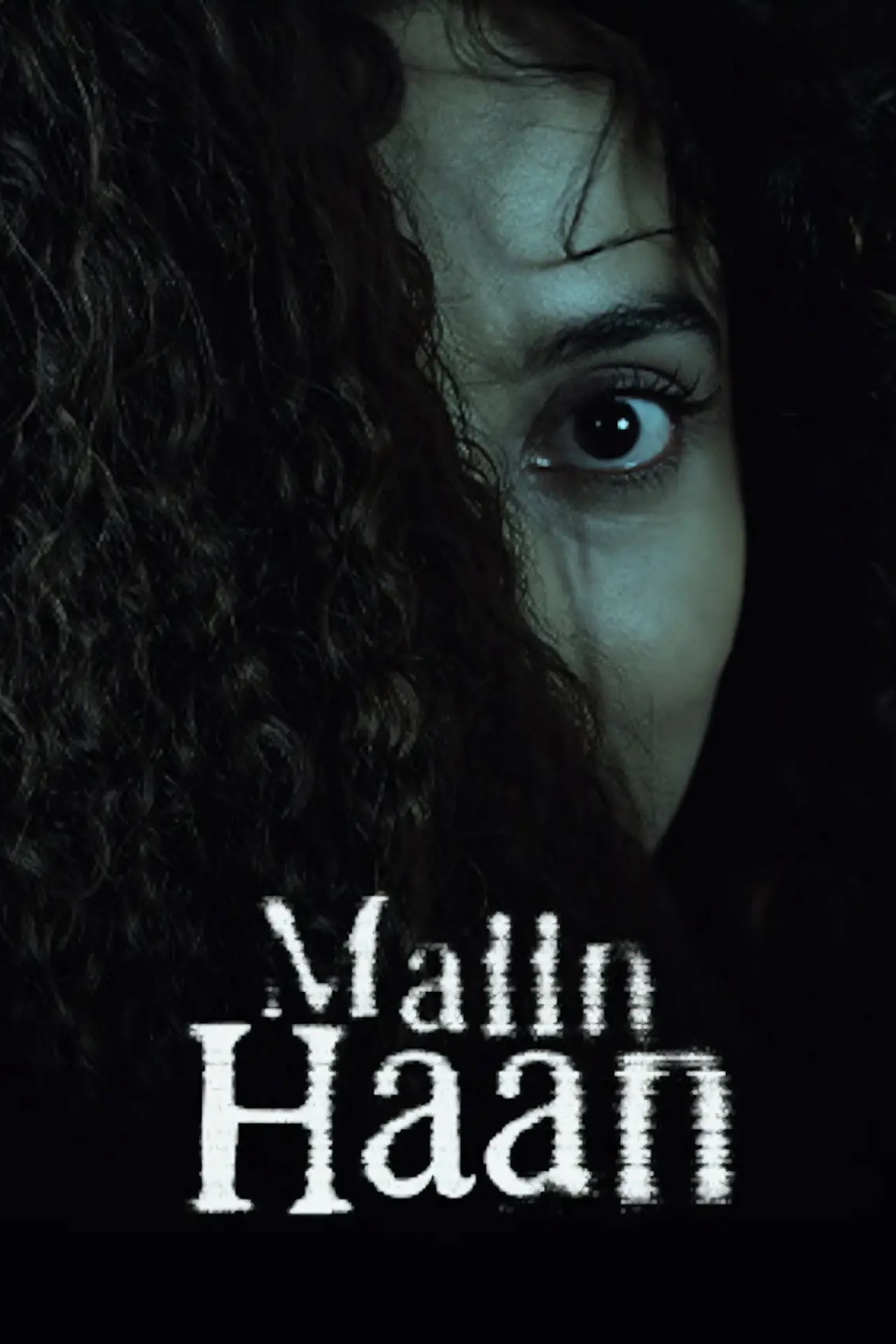 Постер к фильму "Maiin Haan"