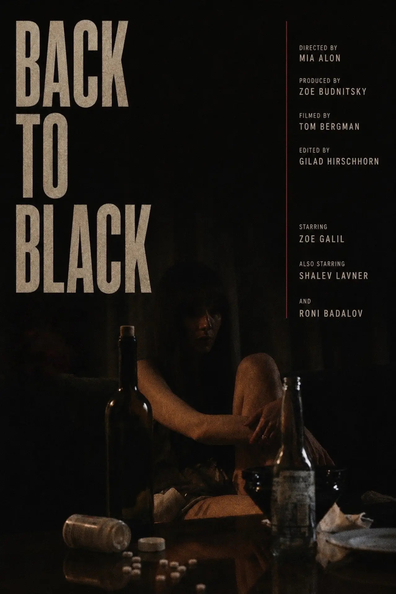 Постер к фильму "Back To Black"
