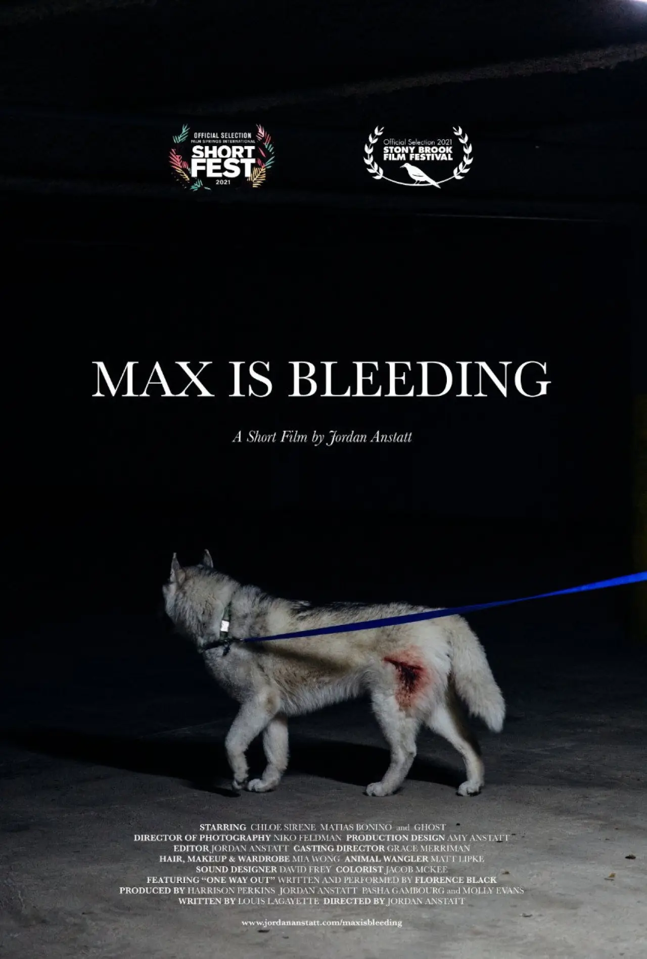 Постер к фильму "Max is Bleeding"