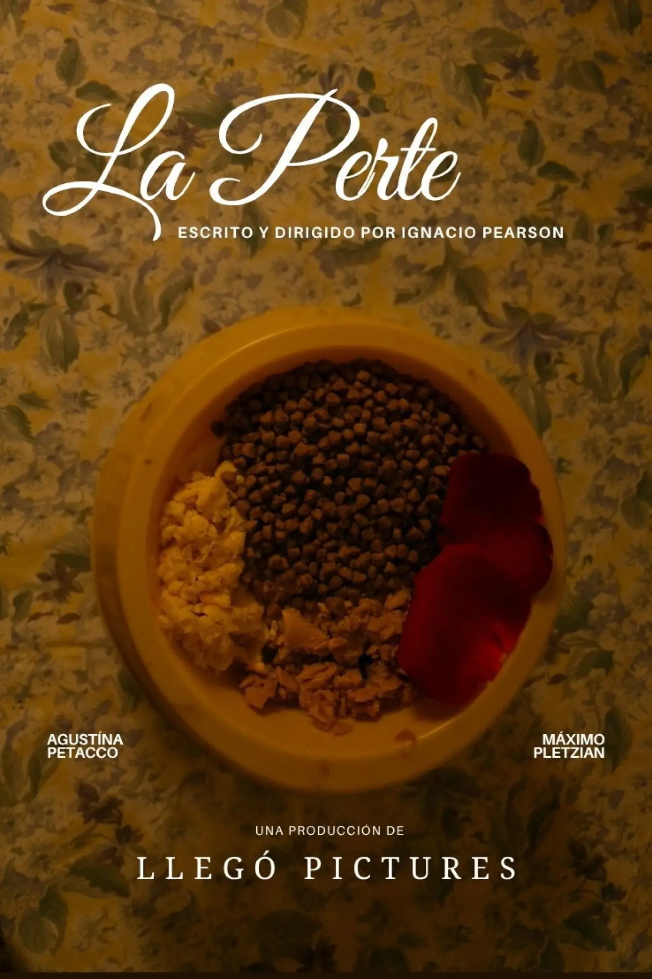 Постер к фильму "La Perte"