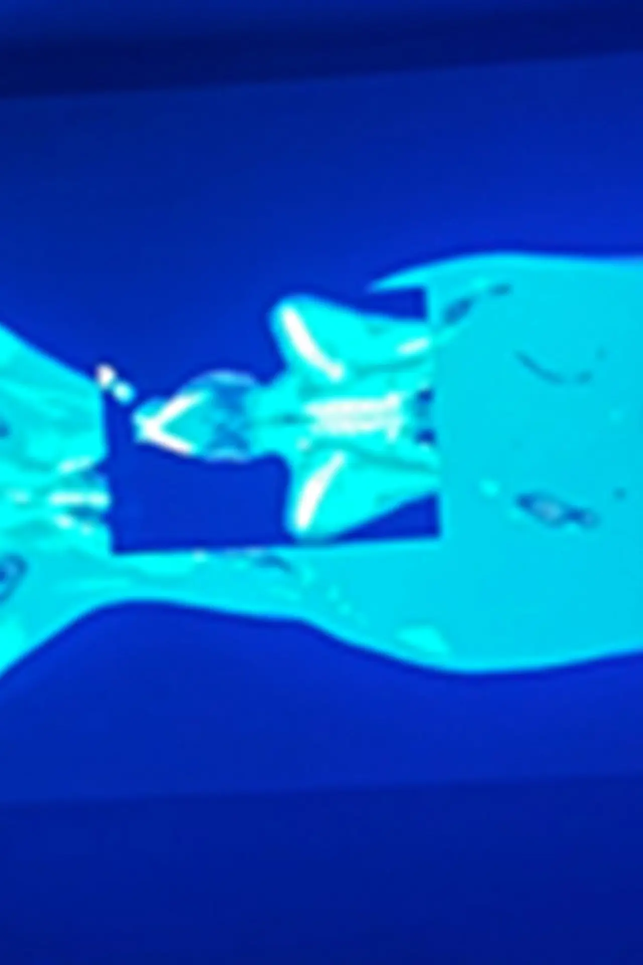 Постер к фильму "X-Ray Katx"