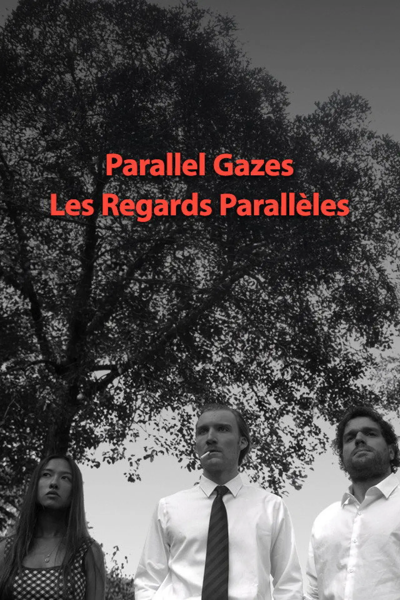 Постер к фильму "Les regards parallèles"