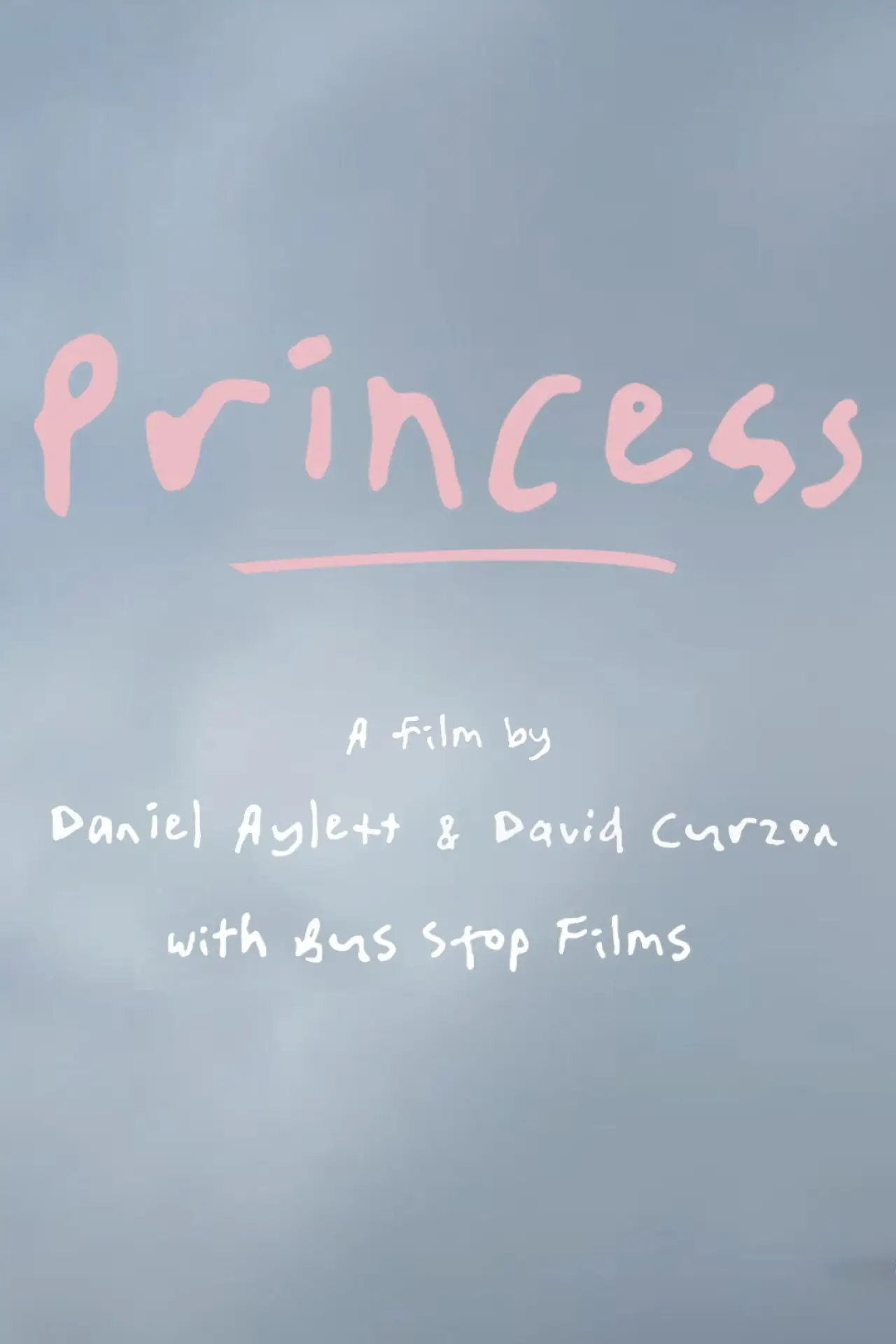Постер к фильму "Princess"