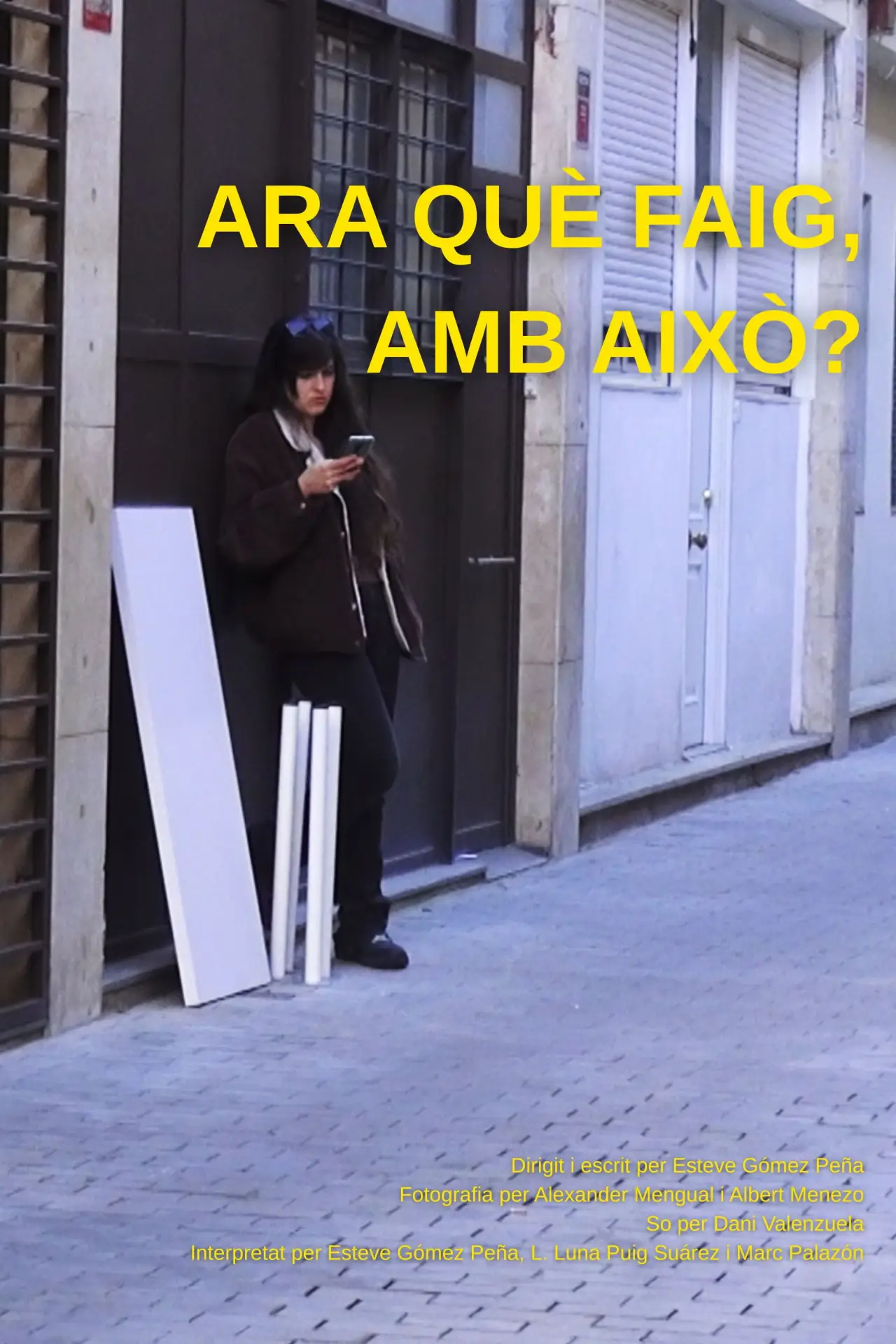 Постер к фильму "Ara què faig, amb això?"