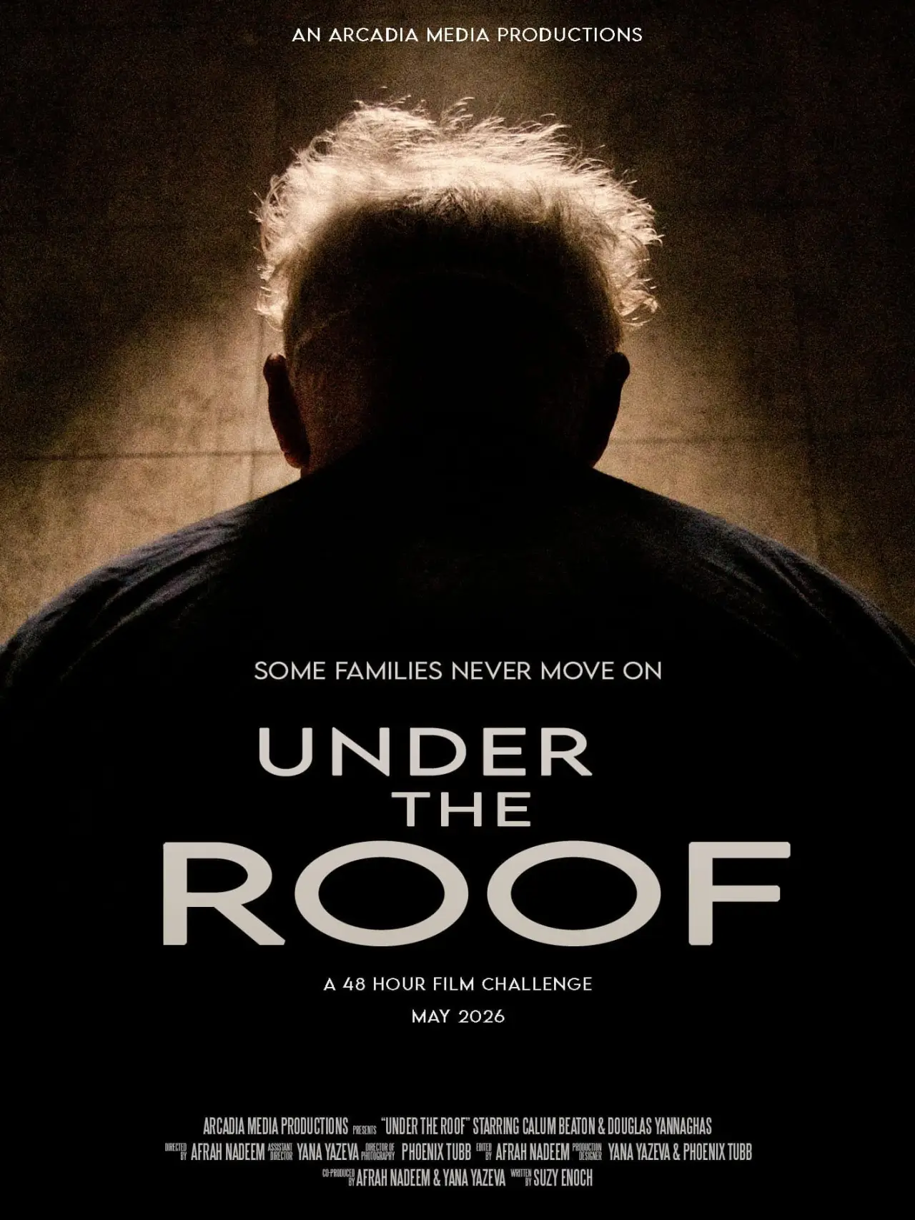 Постер к фильму "Under the Roof"