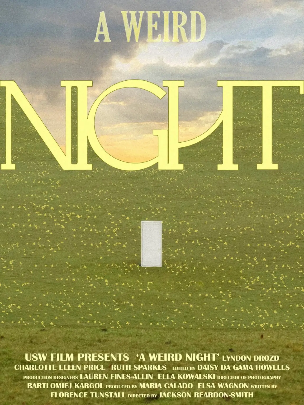 Постер к фильму "A Weird Night"