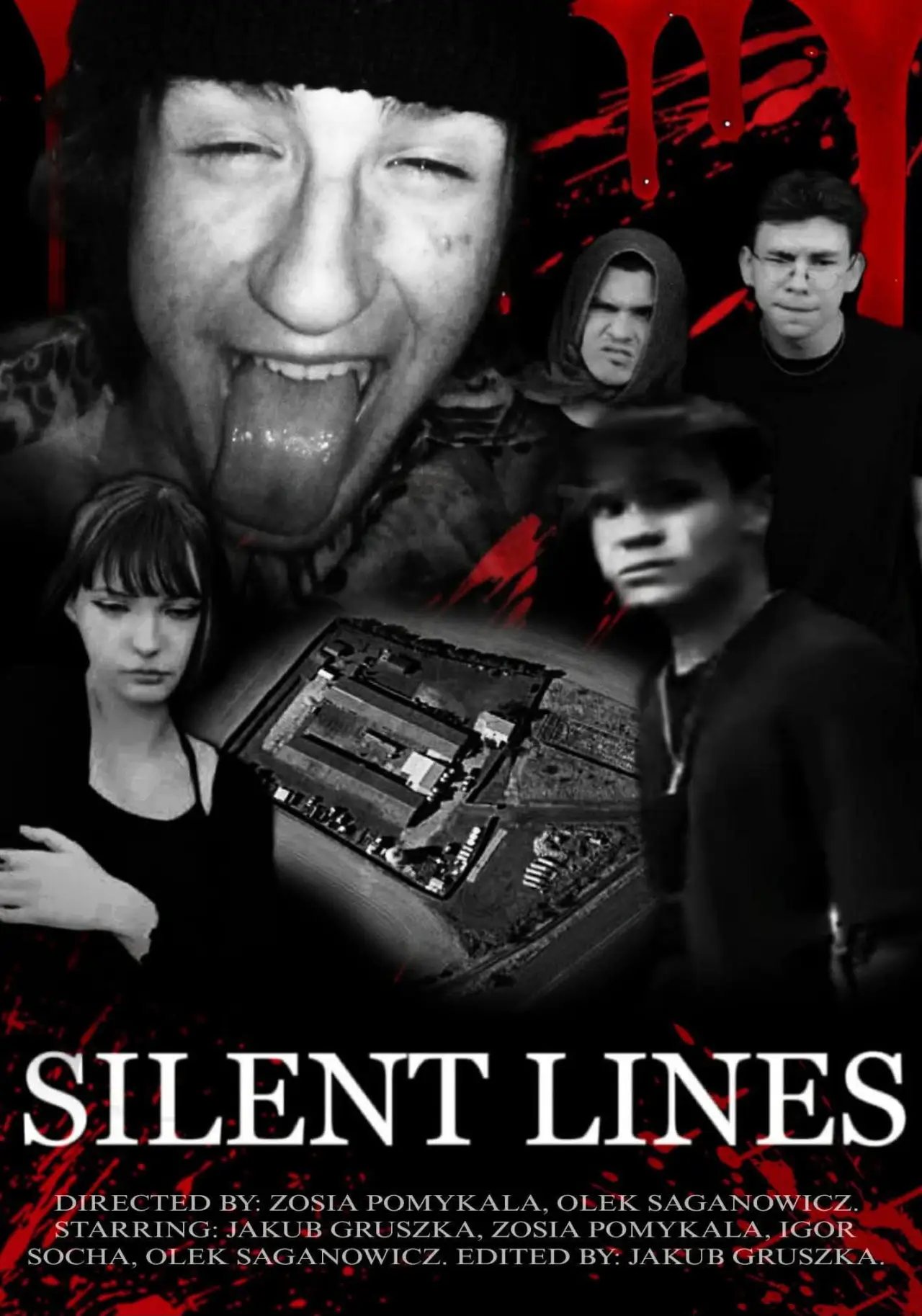 Постер к фильму "Silent Lines"