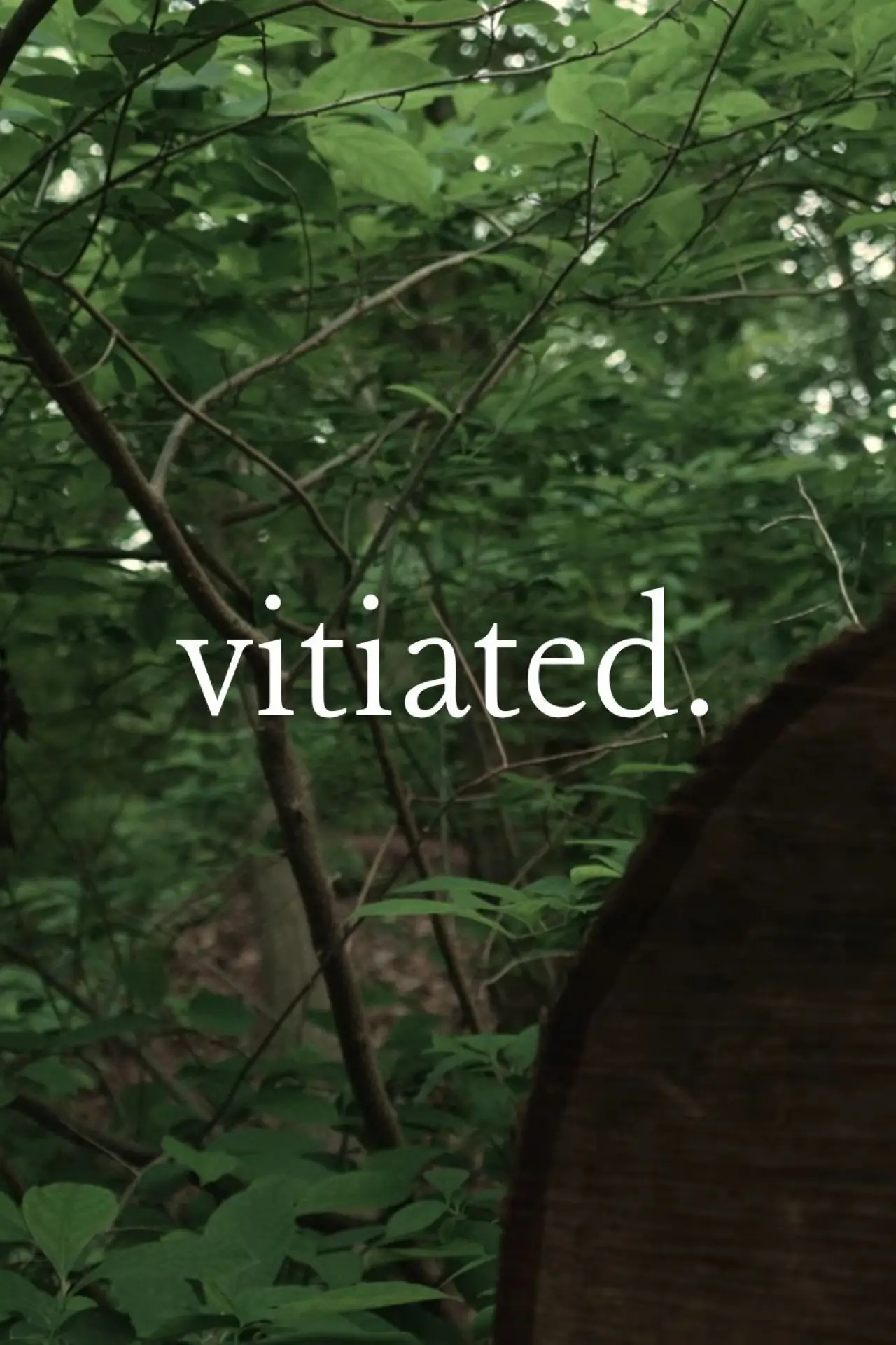Постер к фильму "Vitiated"