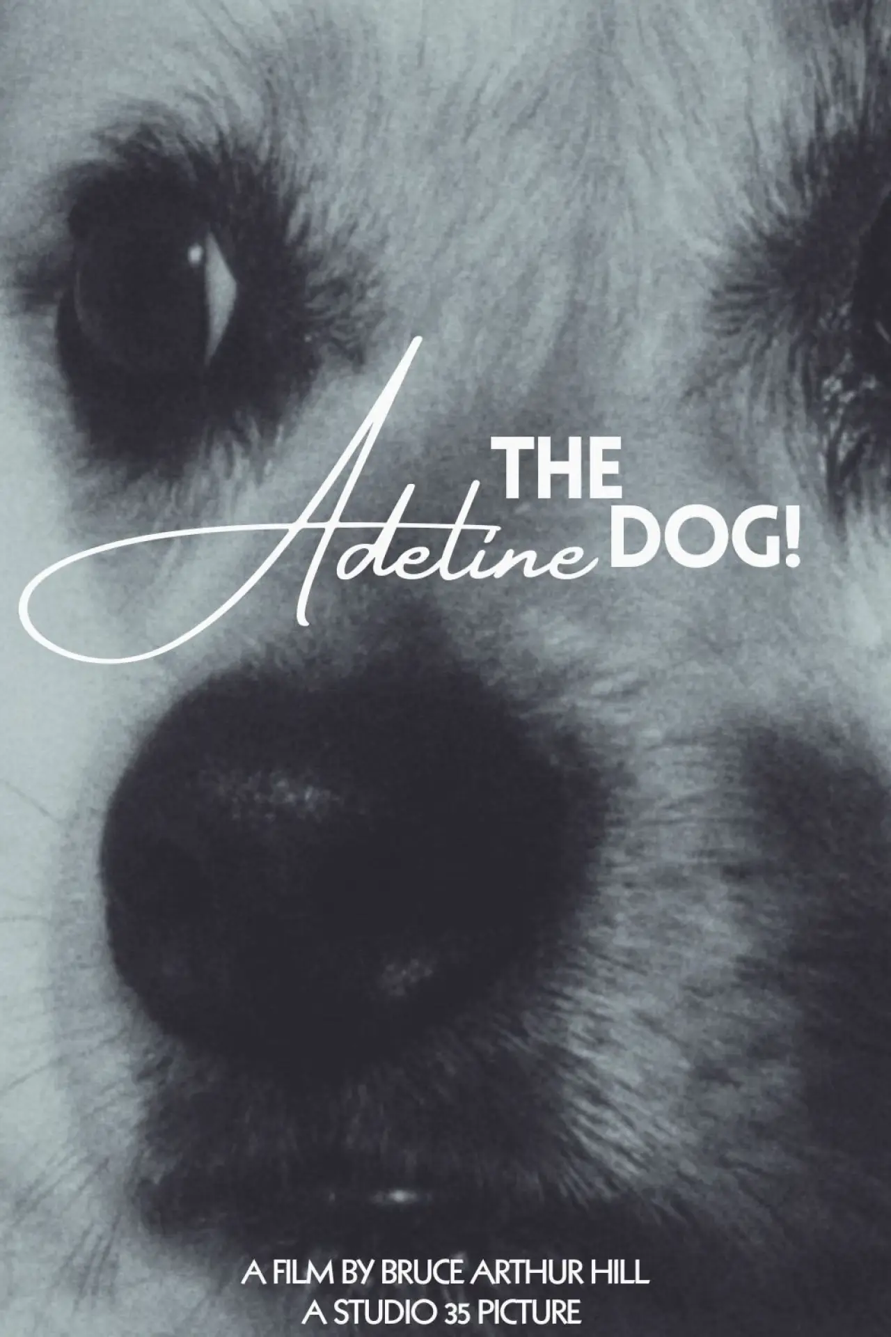 Постер к фильму "Adeline The Dog!"