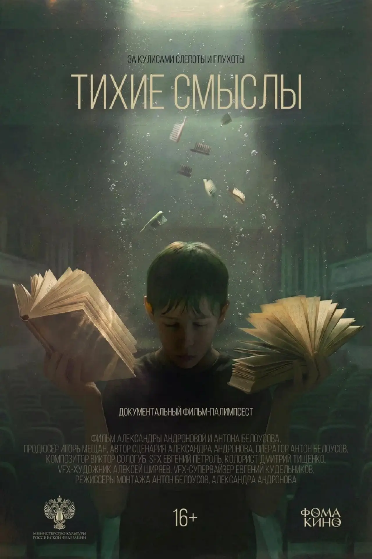 Постер к фильму "Тихие смыслы"