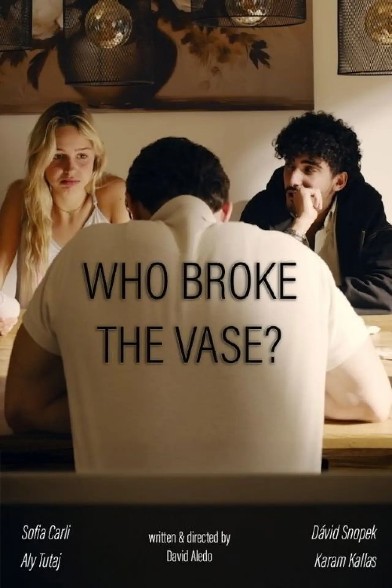 Постер к фильму "Who broke the vase?"