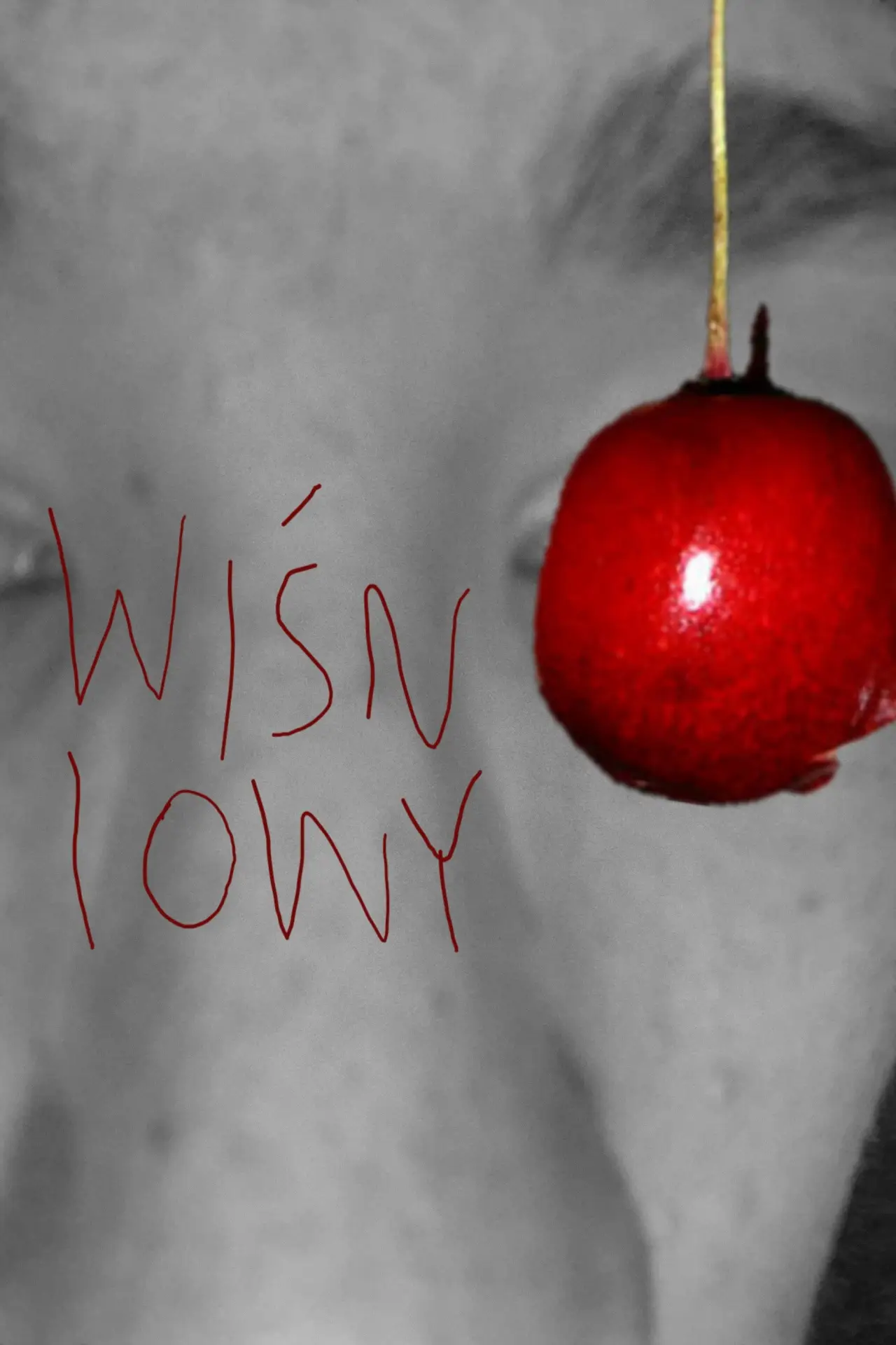 Постер к фильму "wiśniowy"