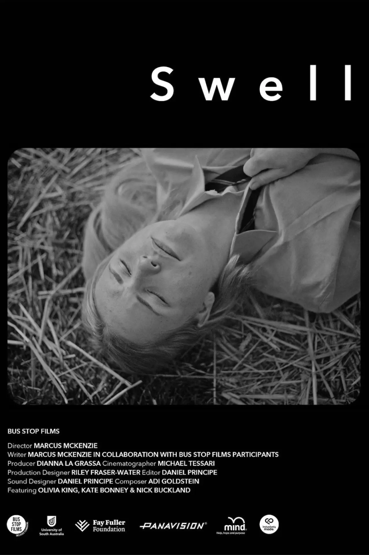 Постер к фильму "Swell"