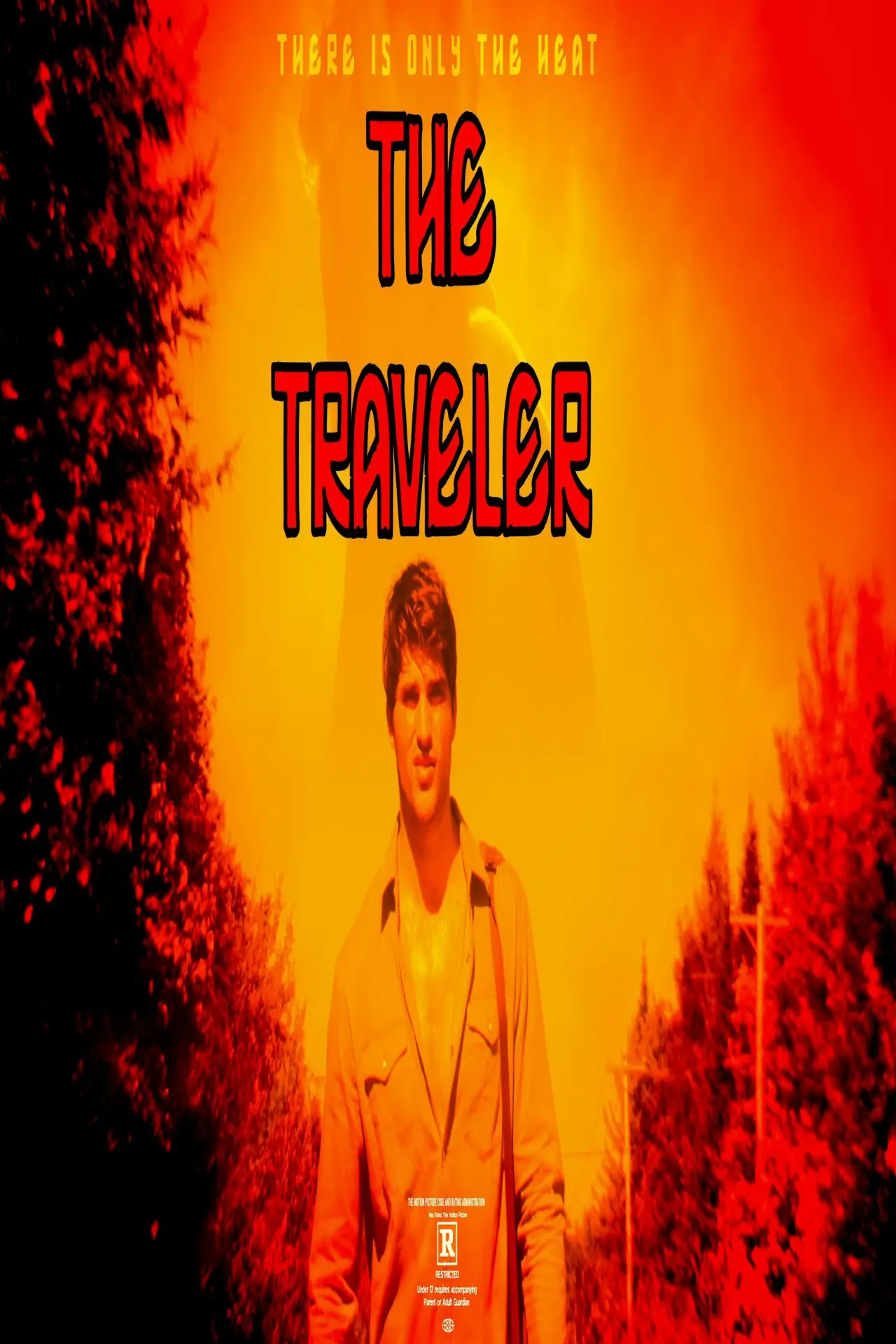 Постер к фильму "The Traveler"