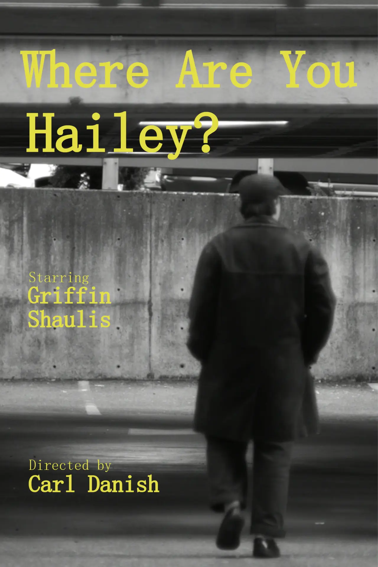 Постер к фильму "Where Are You Hailey?"