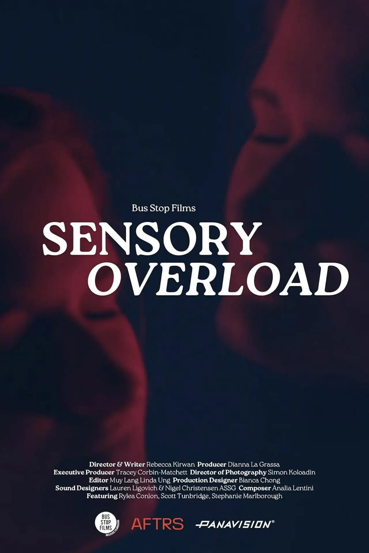 Постер к фильму "Sensory Overload"