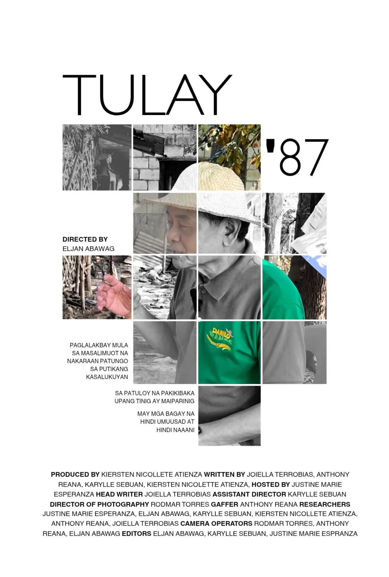 Постер к фильму "Tulay 