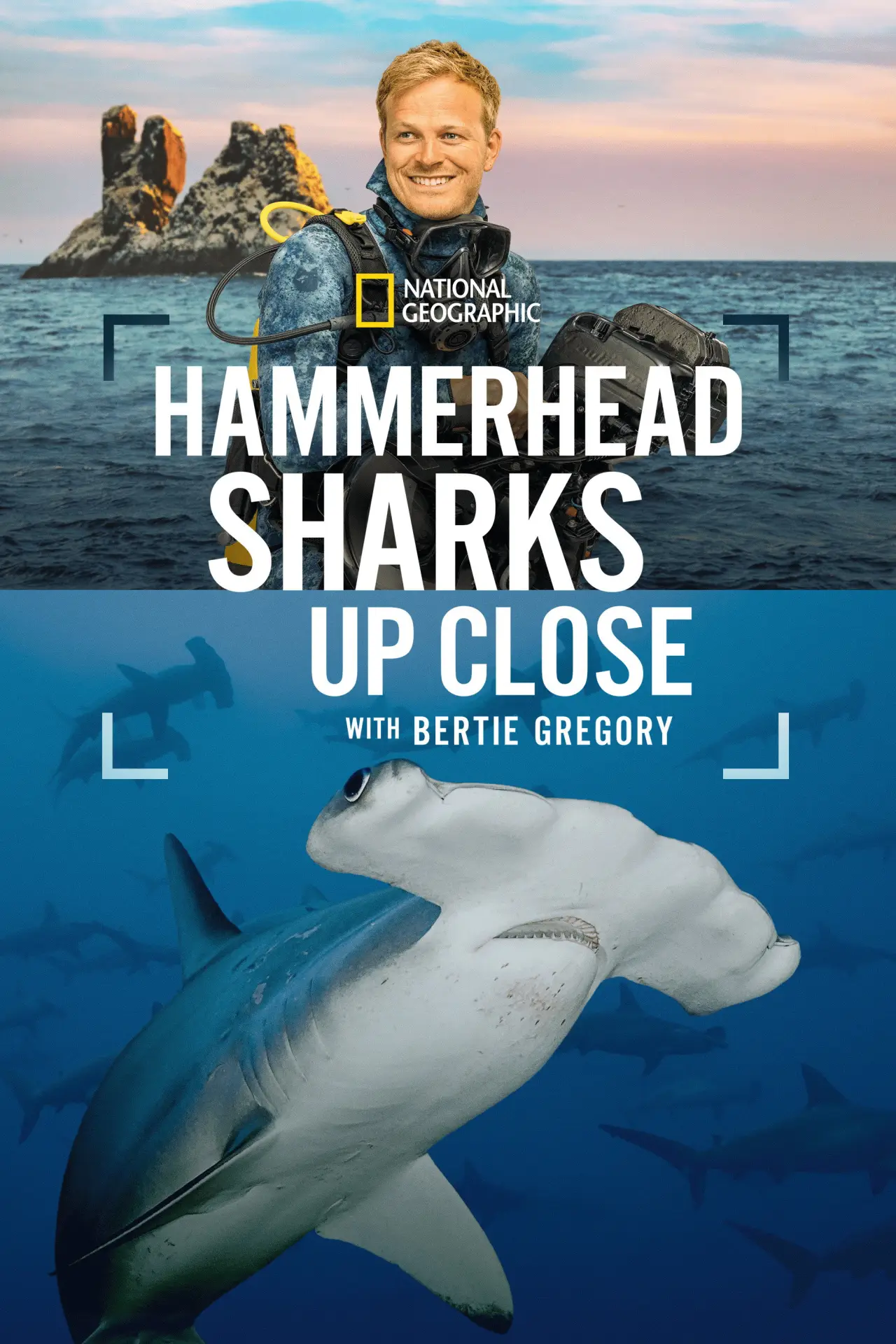 Постер к фильму "Hammerhead Sharks Up Close with Bertie Gregory"