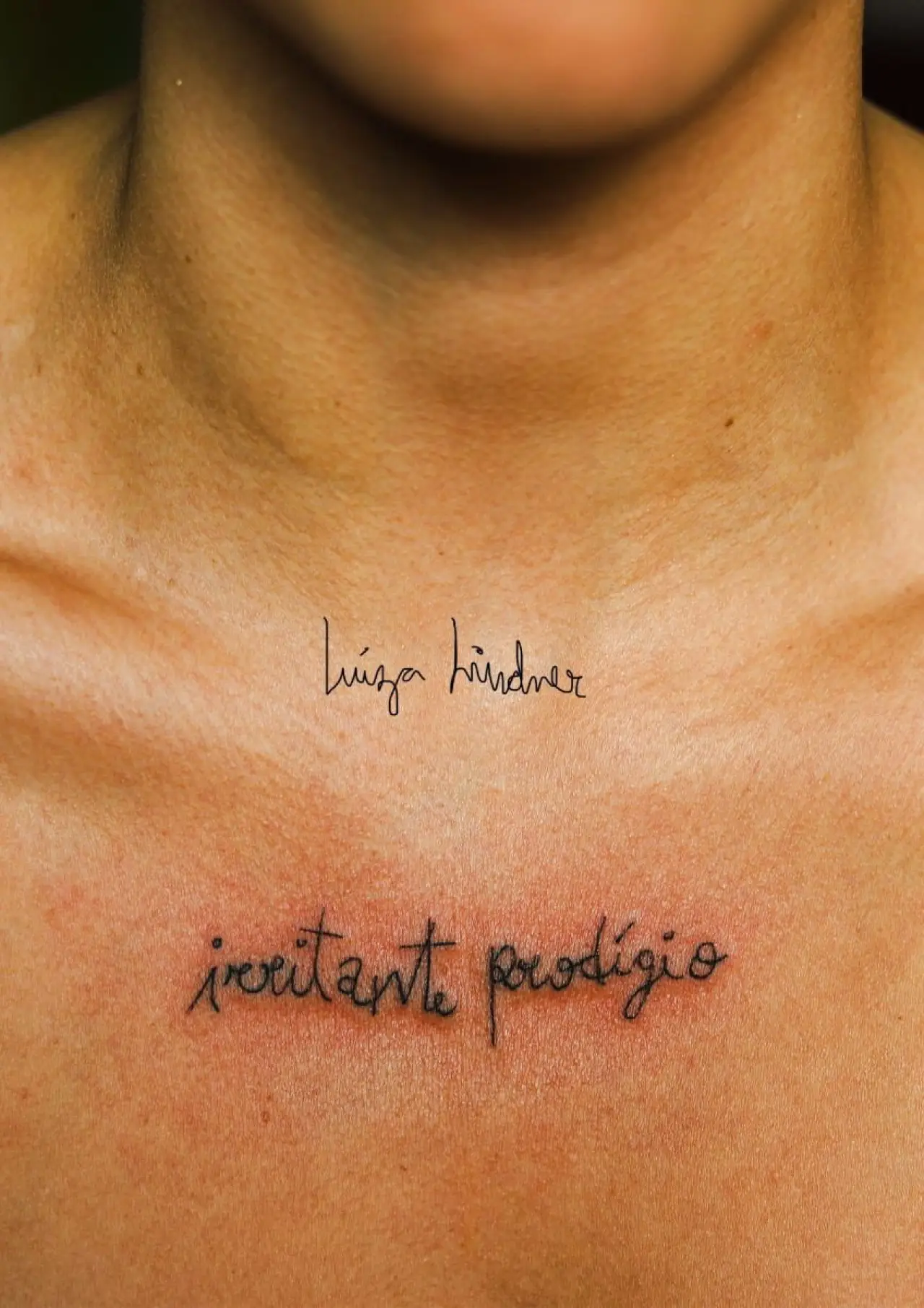 Постер к фильму "Irritante Prodígio"