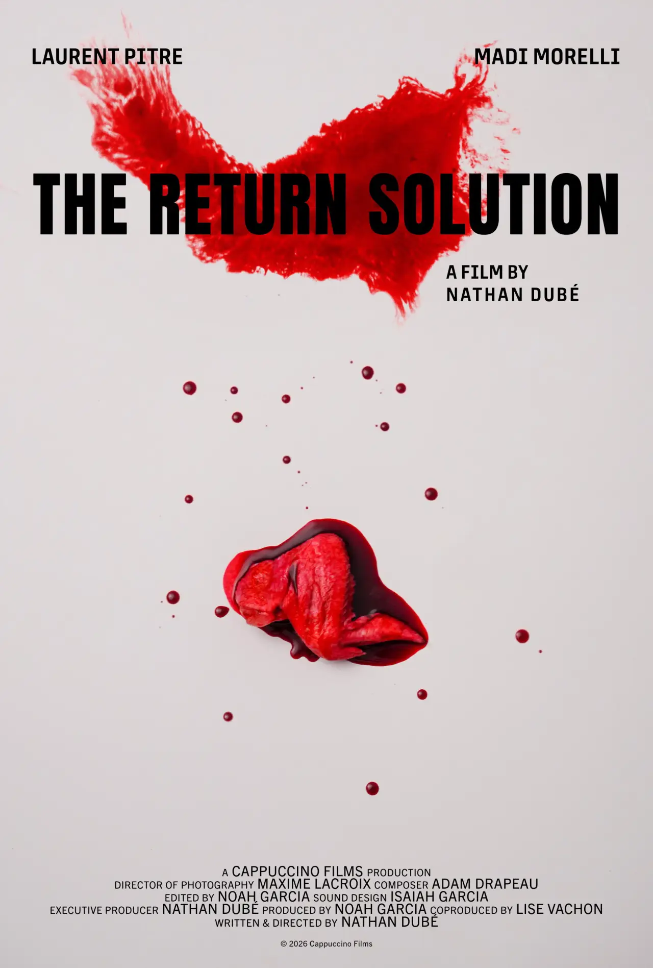 Постер к фильму "The Return Solution"