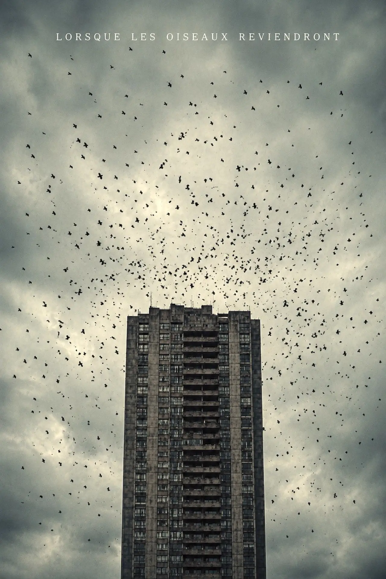 Постер к фильму "Lorsque Les Oiseaux Reviendront"