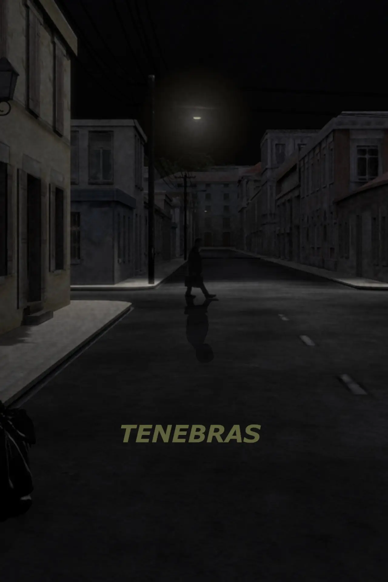 Постер к фильму "Tenebras"
