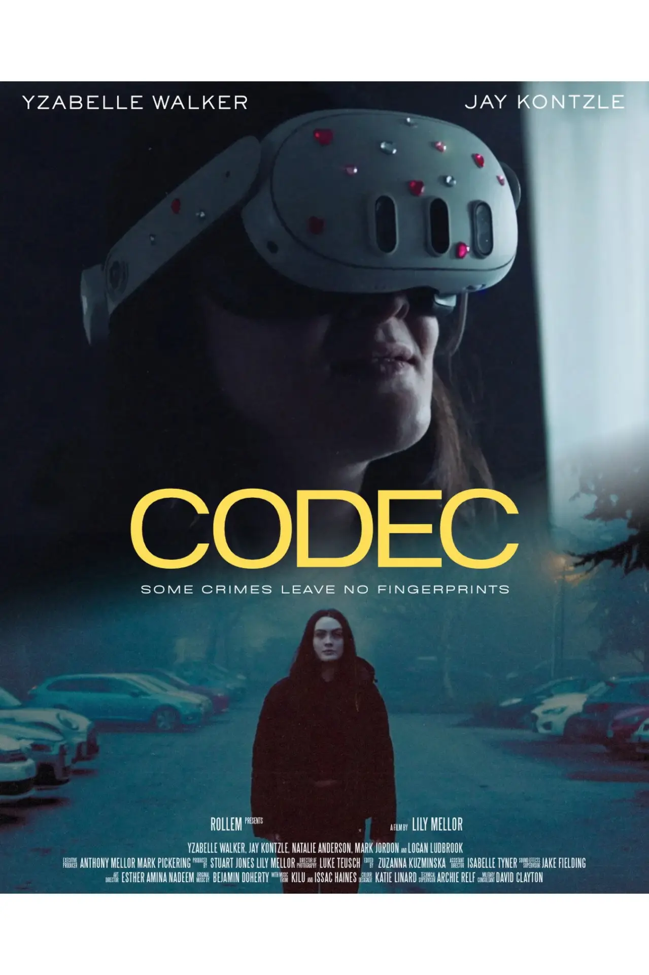 Постер к фильму "Codec"