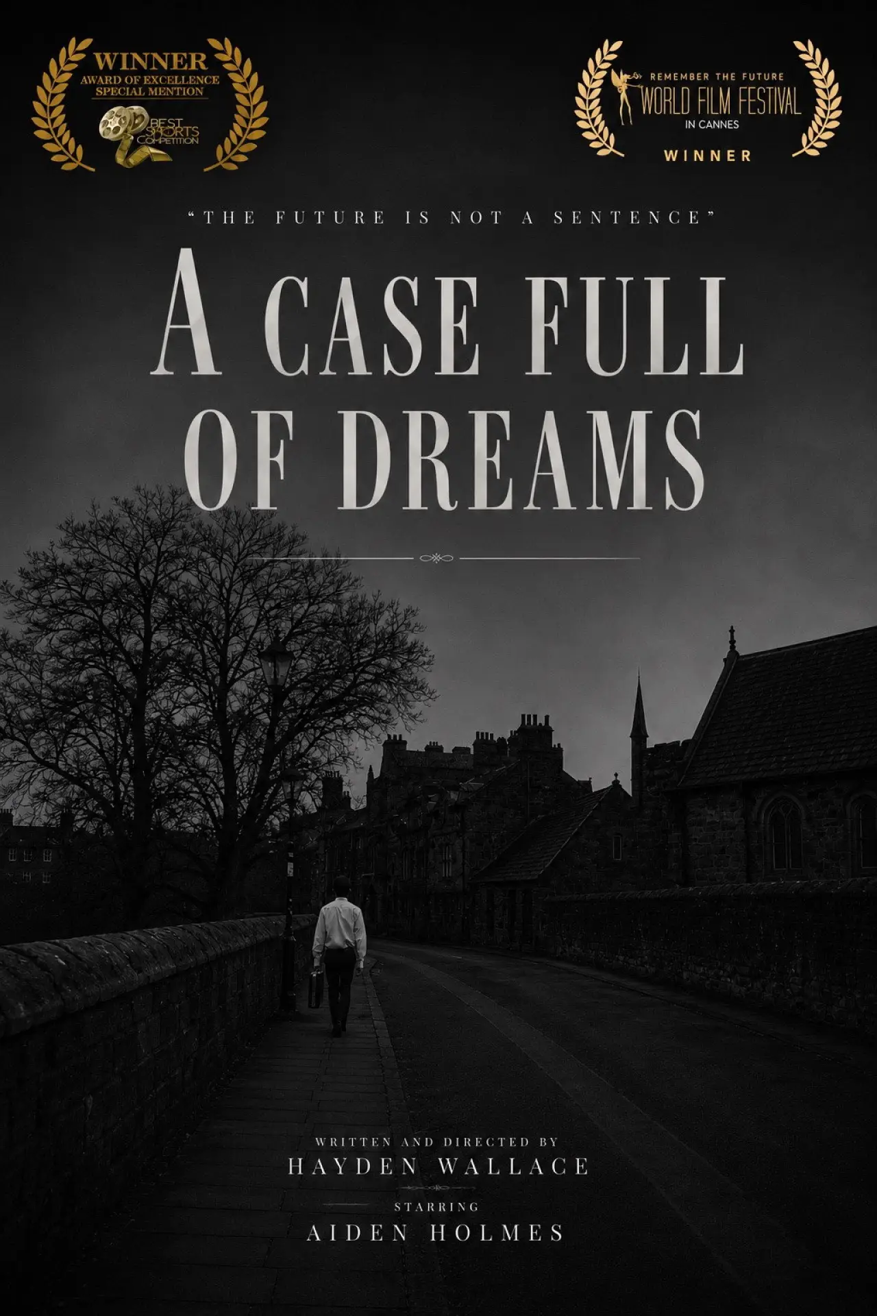 Постер к фильму "A Case Full Of Dreams"