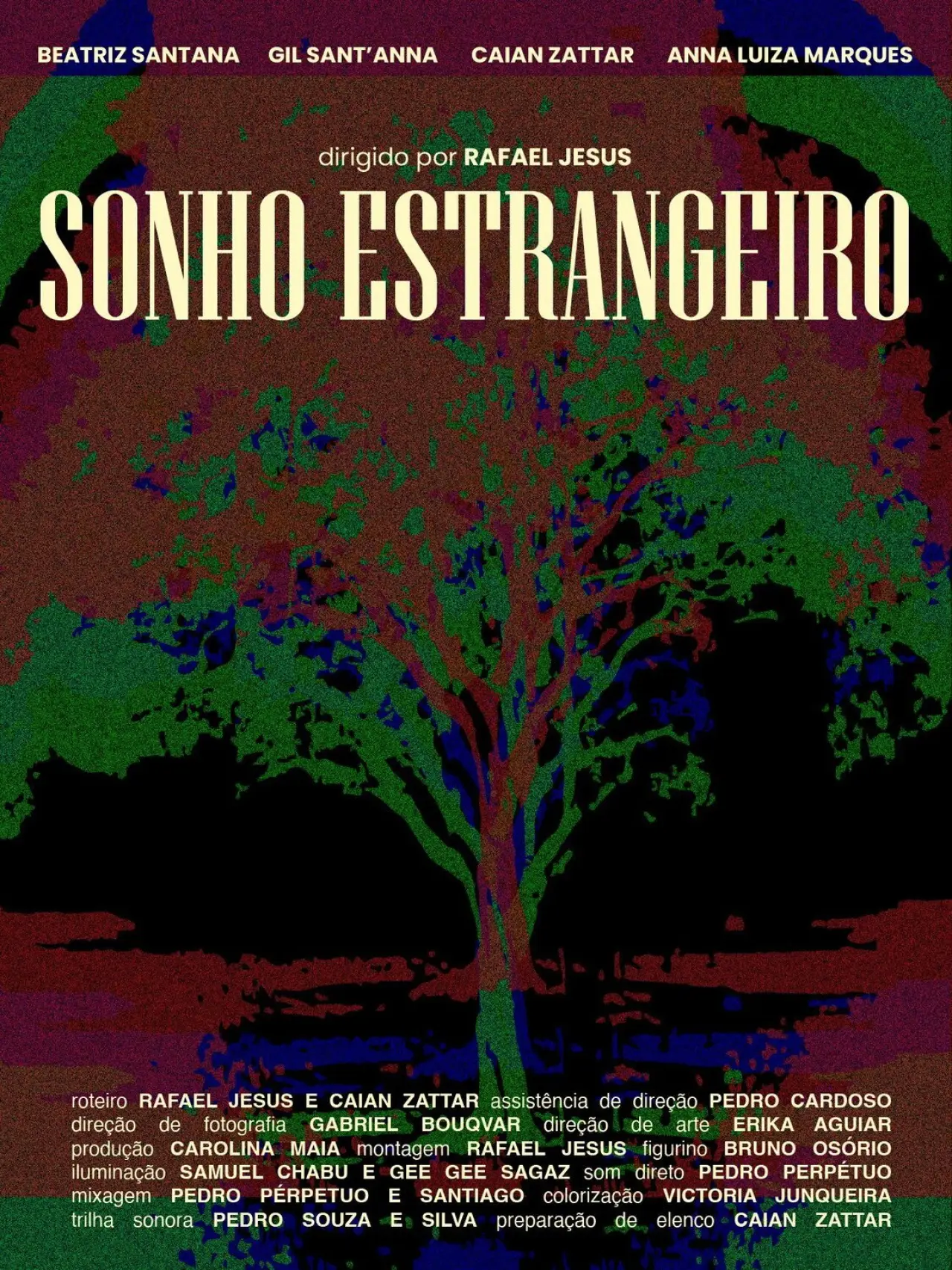 Постер к фильму "Sonho Estrangeiro"
