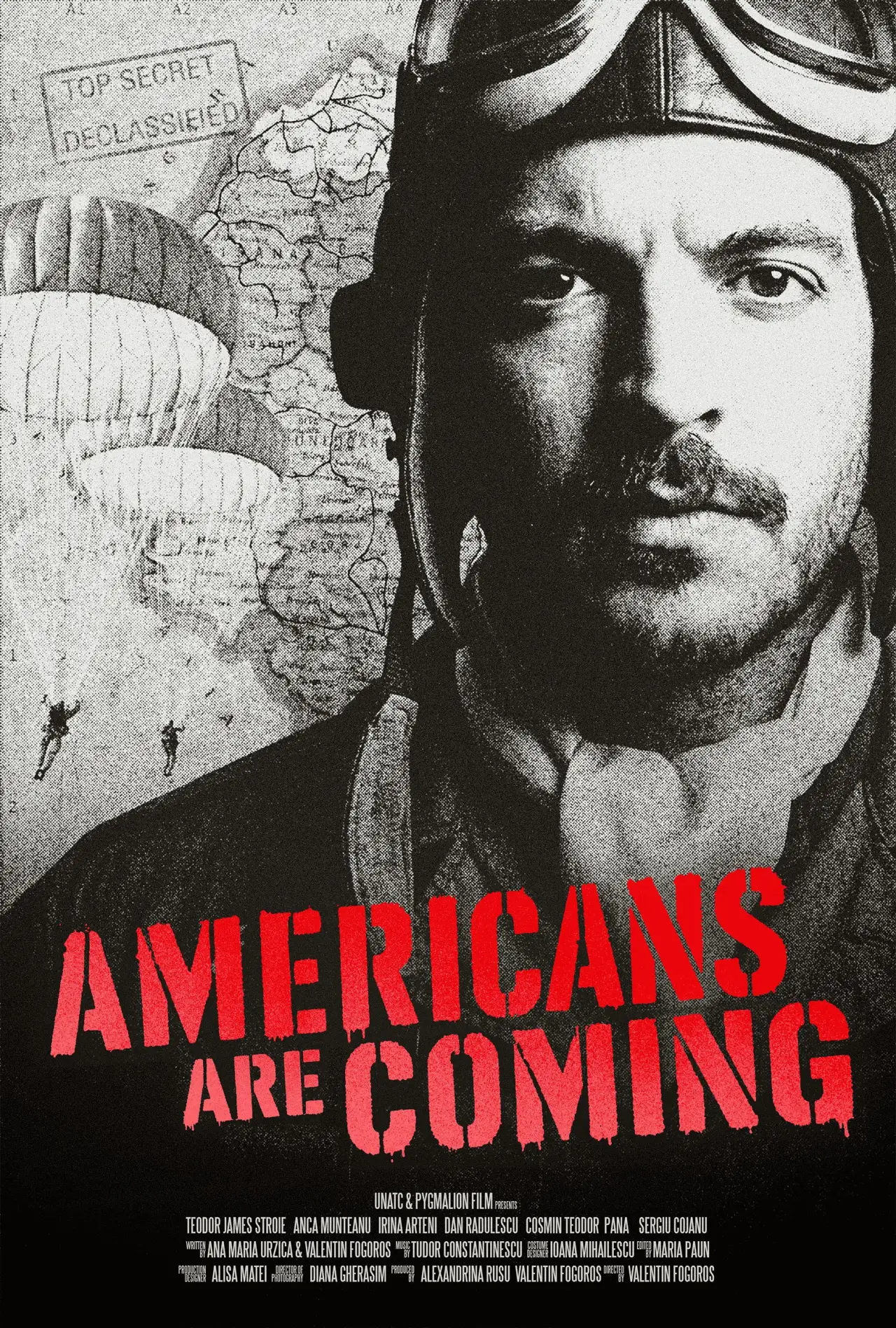 Постер к фильму "Vin americanii!"